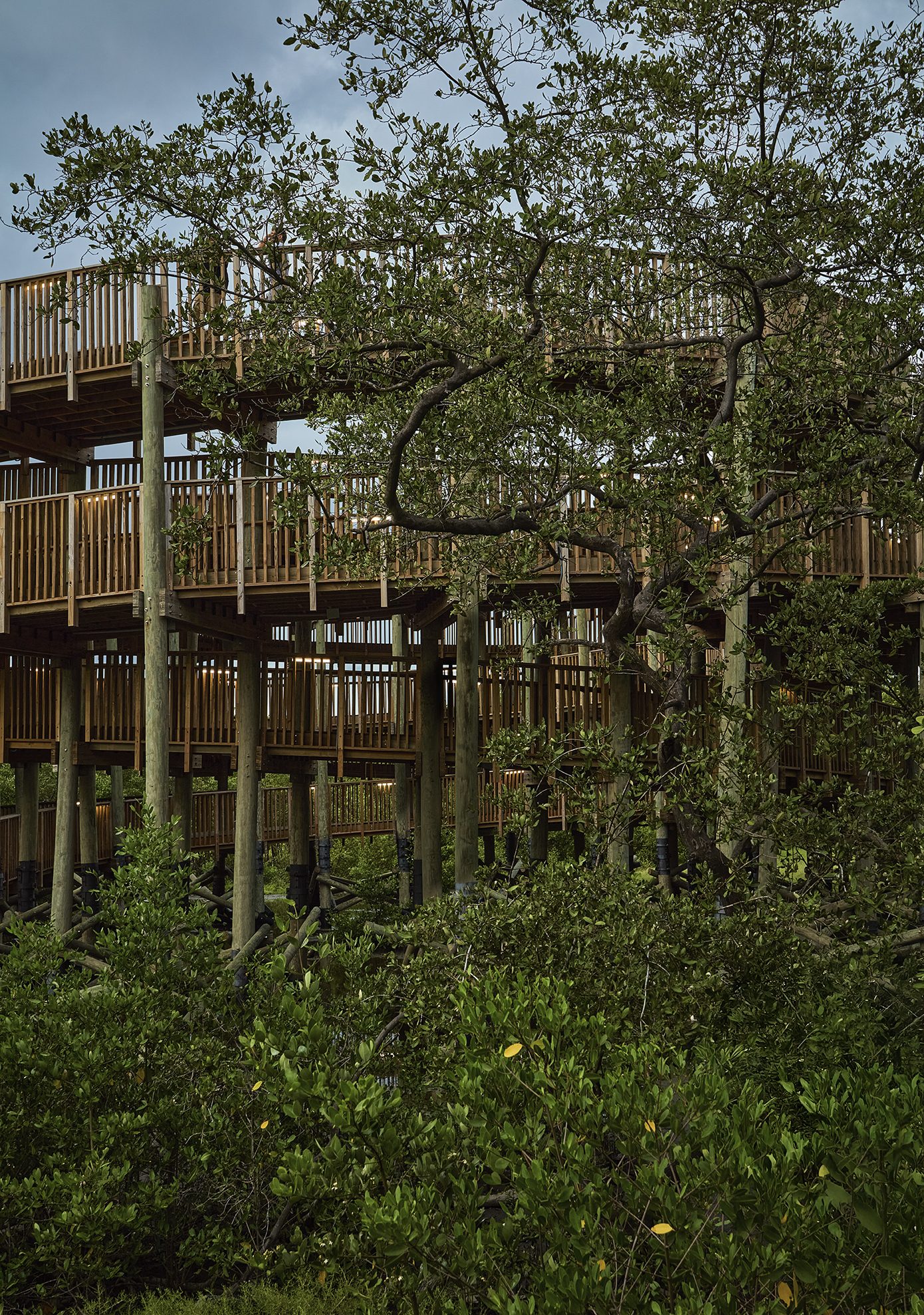 Экопарк Ciénaga de Mallorquín / DEB + El Equipo Mazzanti