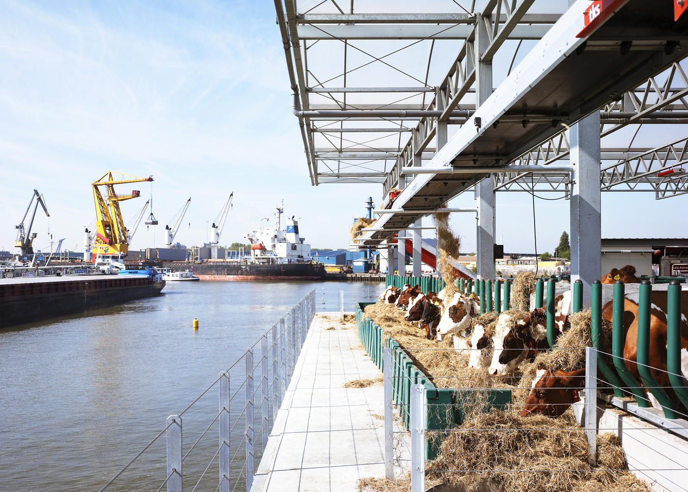 Как пища формирует ландшафты и архитектуру: о невидимой логике food systems