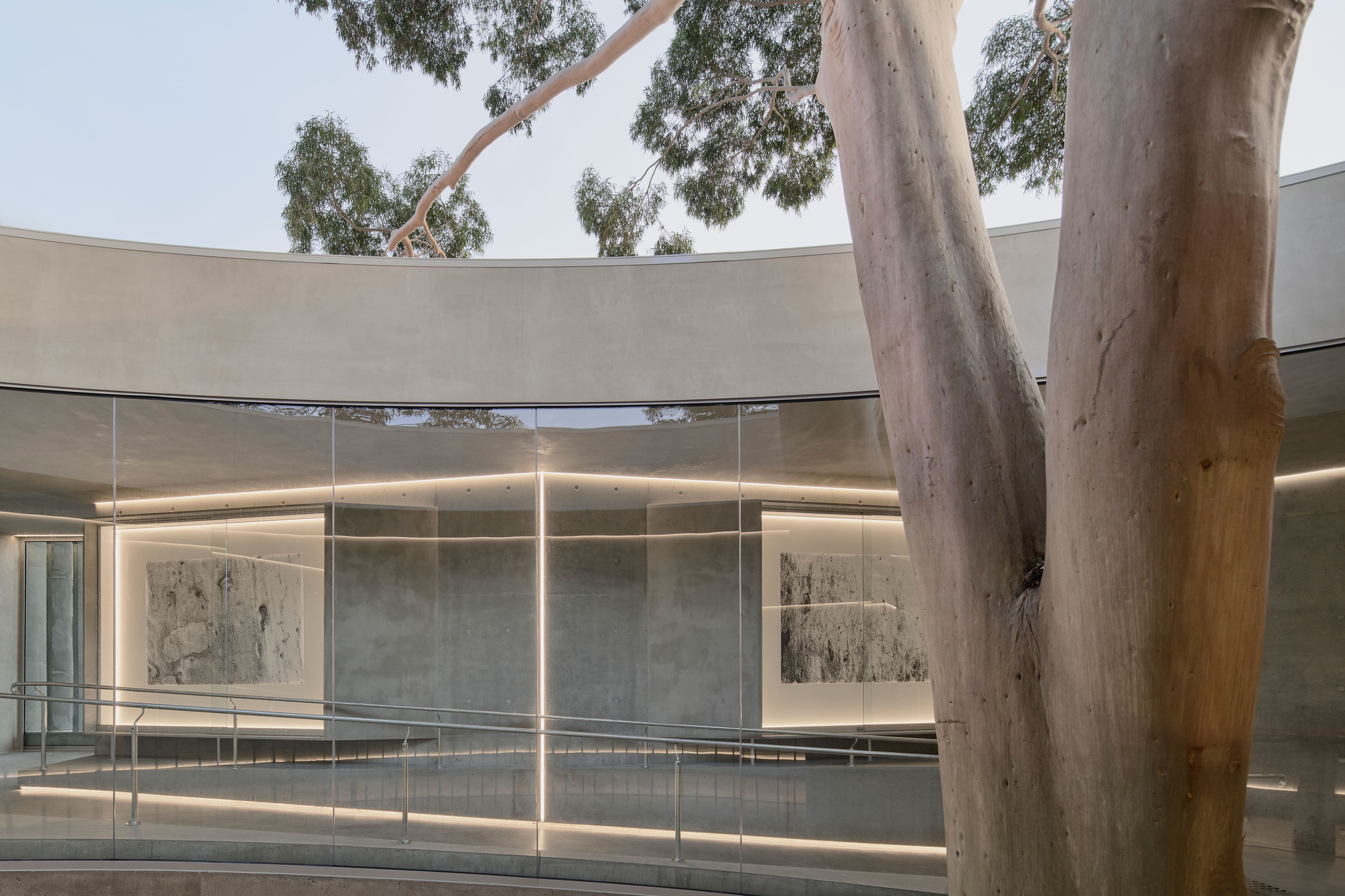 Gallery For A Tree «Flyover» в Marcellin College / Farrell Wray Architects