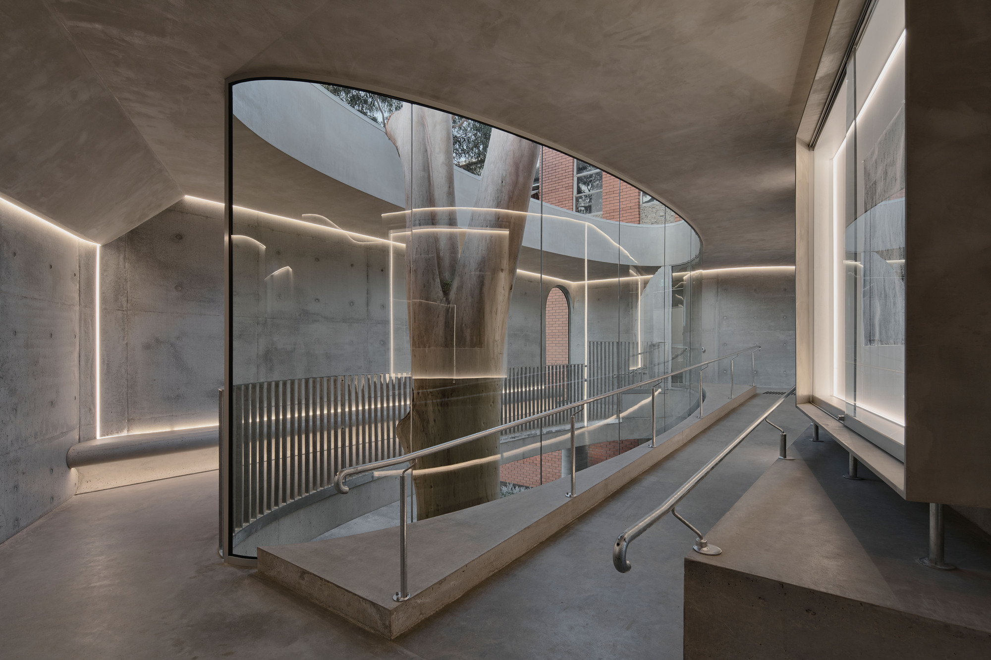 Gallery For A Tree «Flyover» в Marcellin College / Farrell Wray Architects