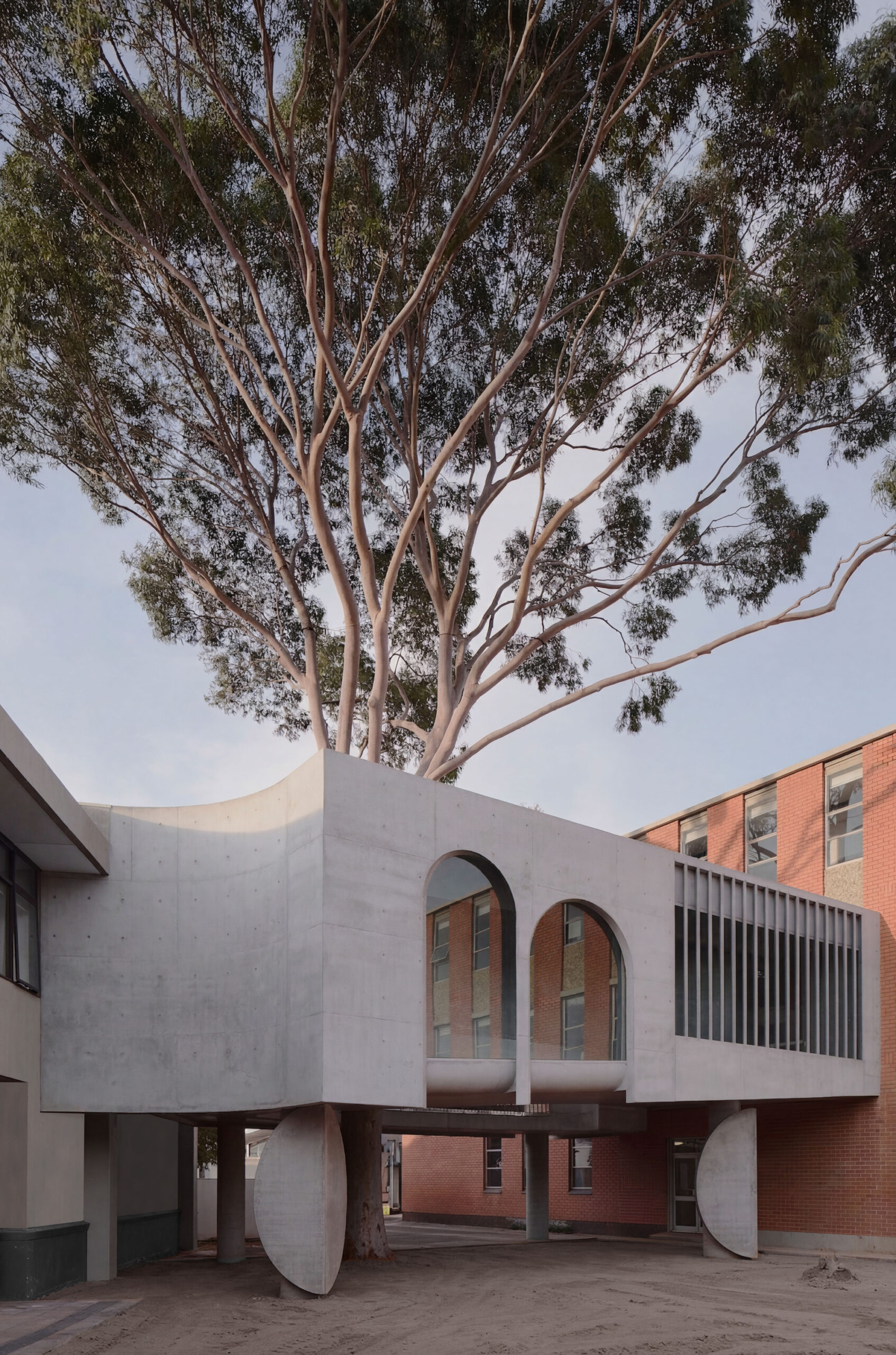 Gallery For A Tree «Flyover» в Marcellin College / Farrell Wray Architects