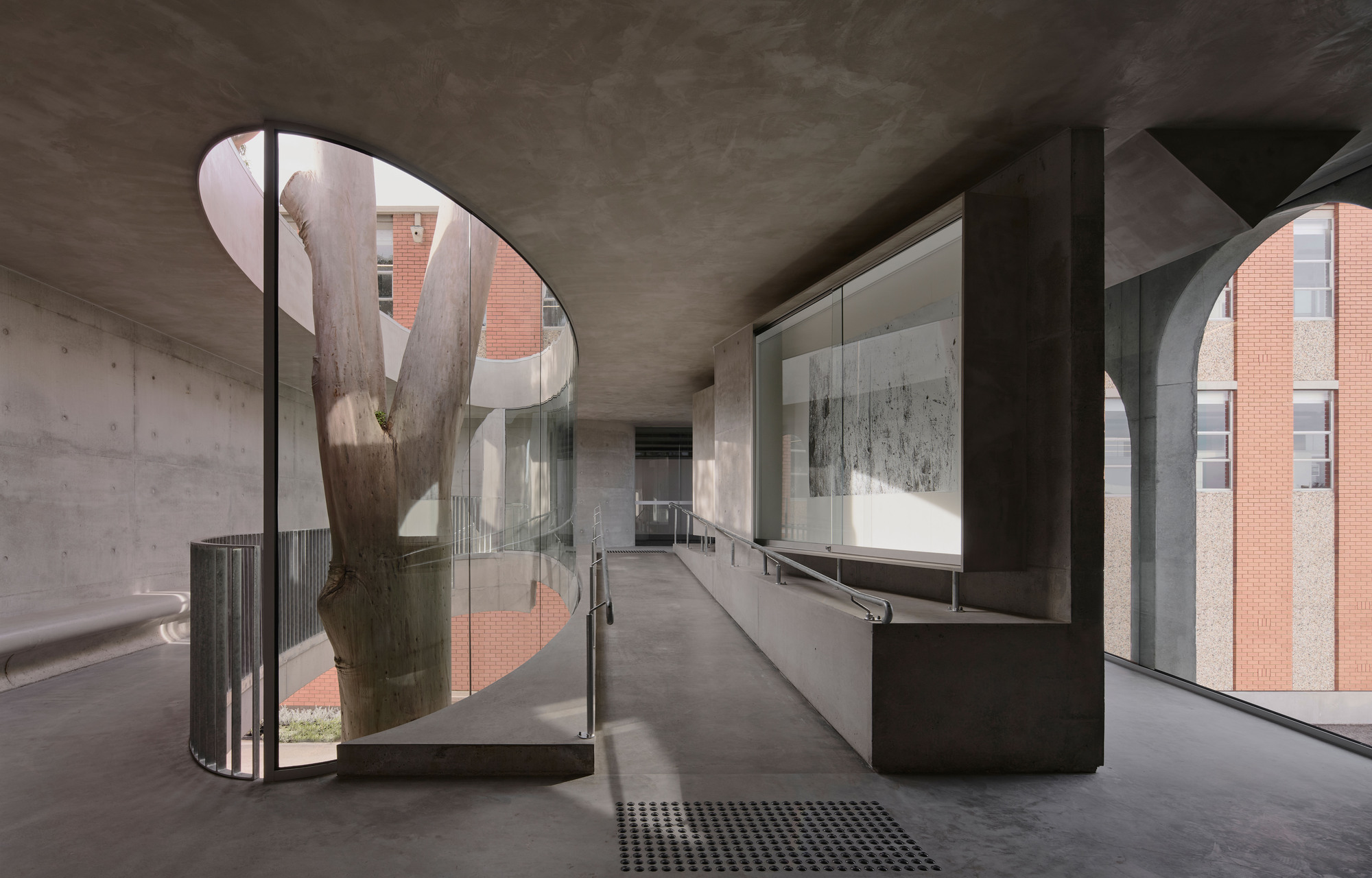 Gallery For A Tree «Flyover» в Marcellin College / Farrell Wray Architects