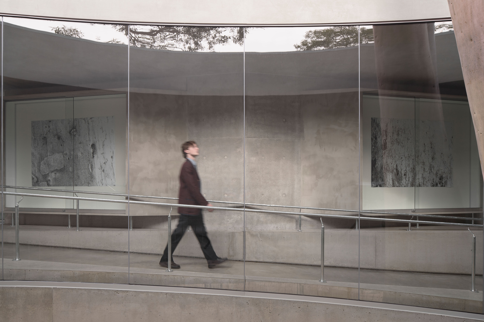 Gallery For A Tree «Flyover» в Marcellin College / Farrell Wray Architects