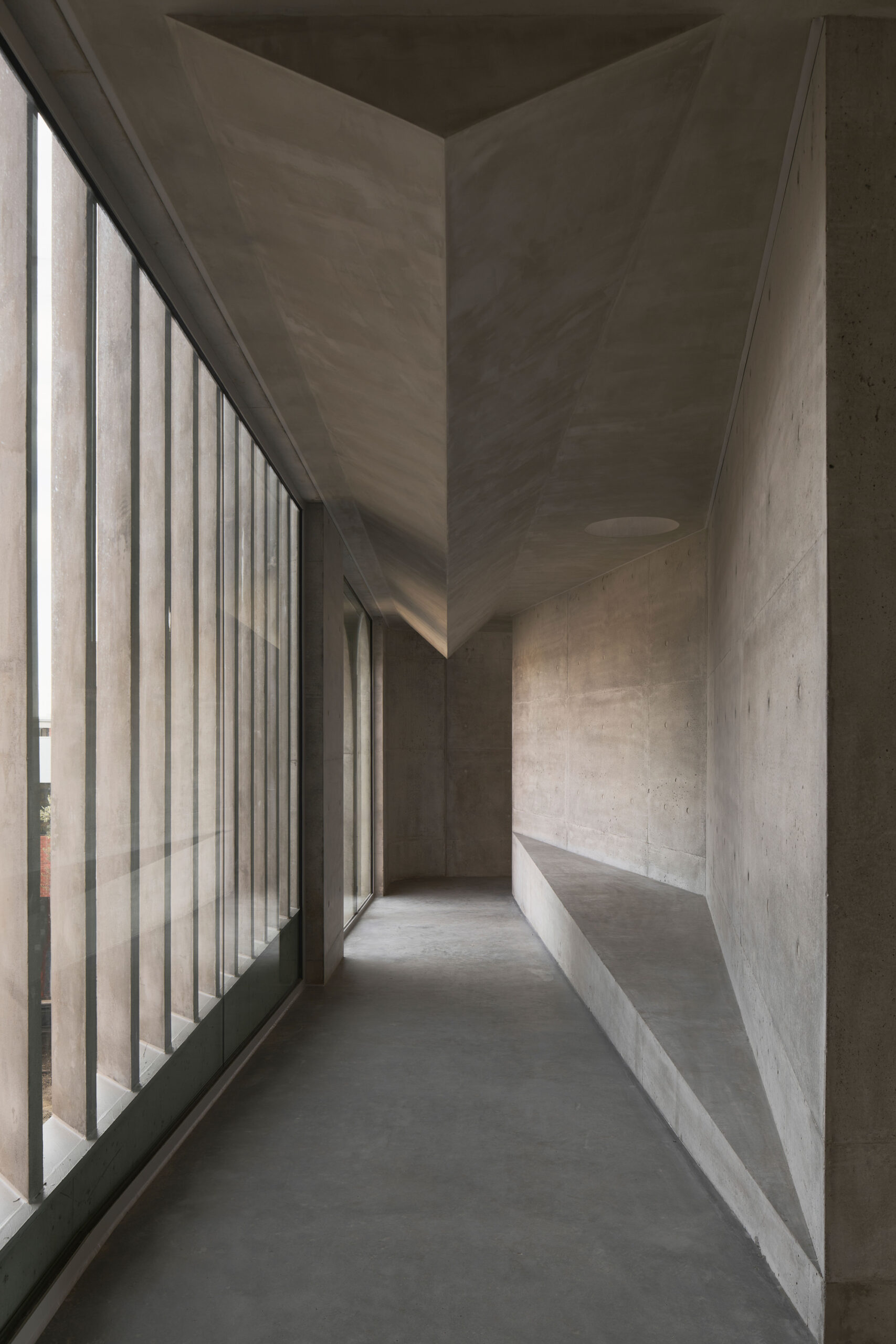 Gallery For A Tree «Flyover» в Marcellin College / Farrell Wray Architects