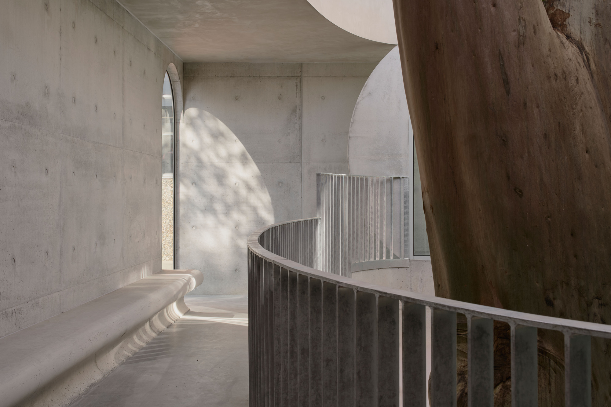 Gallery For A Tree «Flyover» в Marcellin College / Farrell Wray Architects