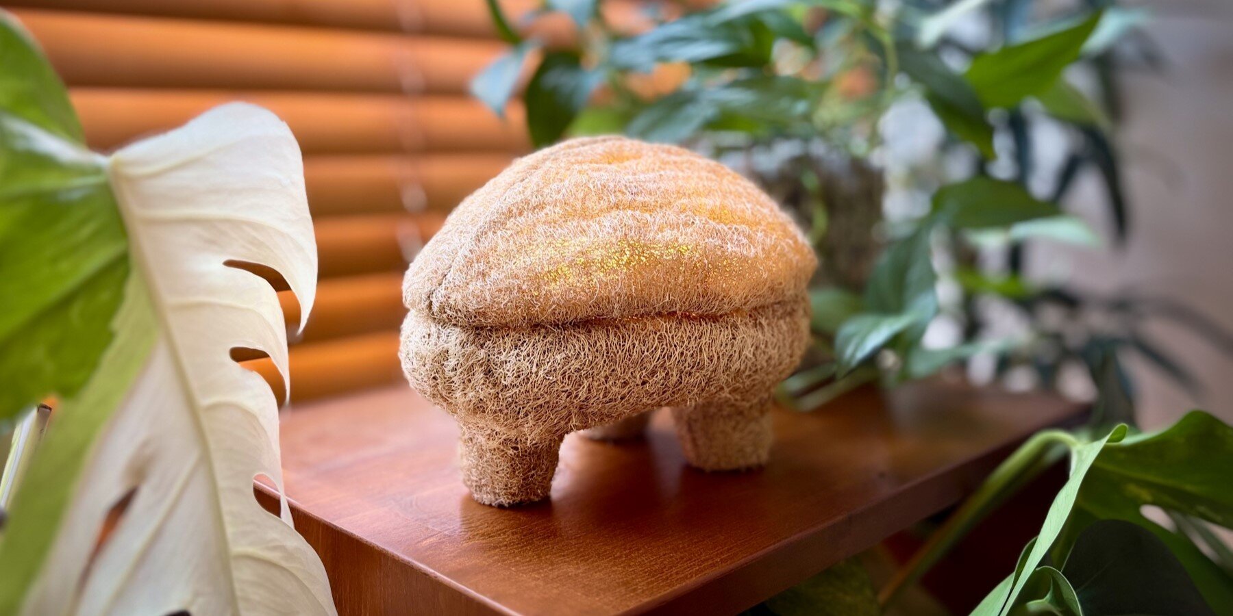 Светильник GOURDO исследует мицелий и лофу как композитный биоматериал
