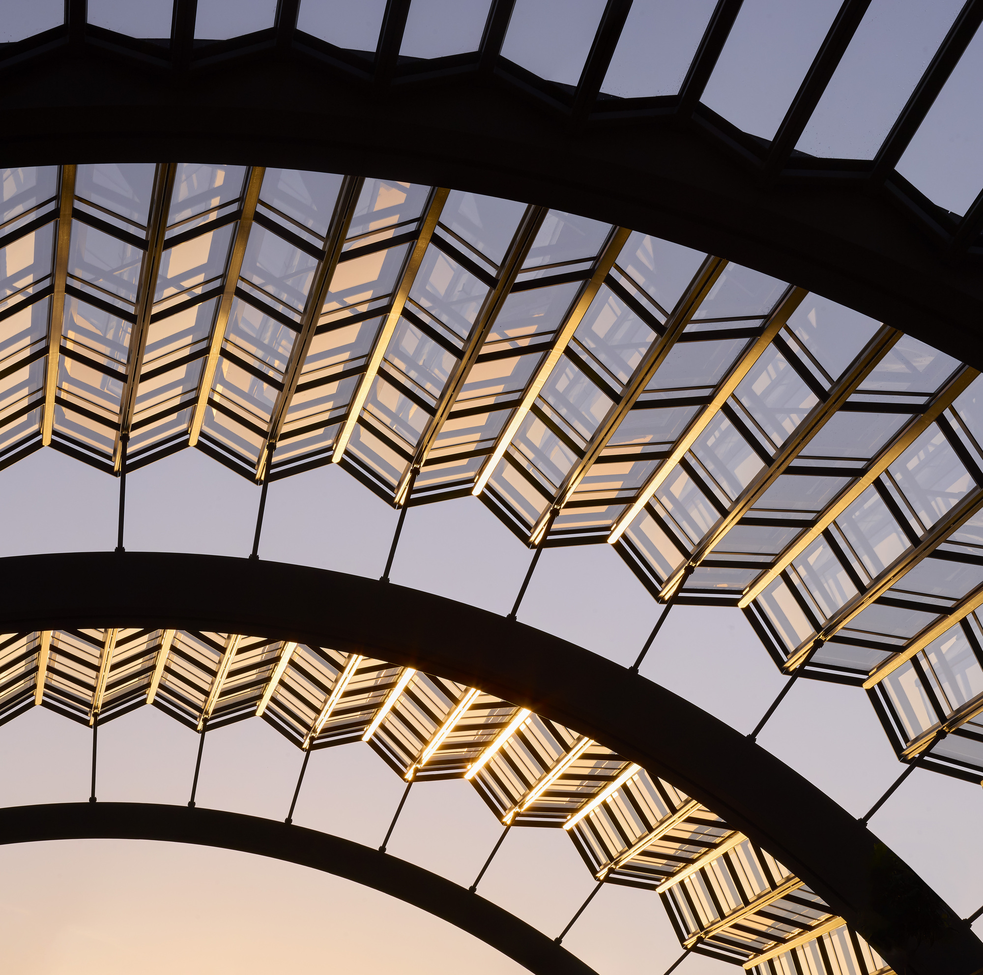 Heatherwick Studio и SPPARC представили первую фазу преобразования Olympia в Западном Лондоне
