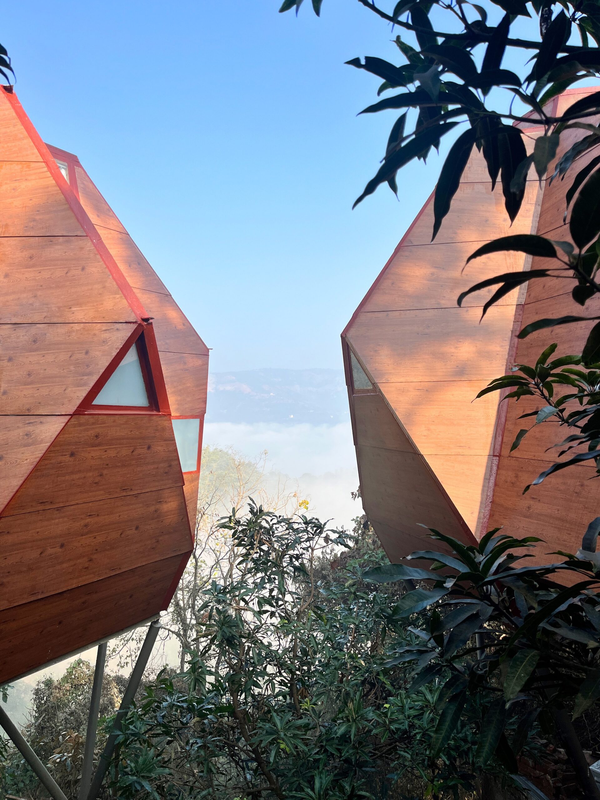 Jugnoo Cabin / PMA madhushala: кабины, встроенные в склон между деревьями