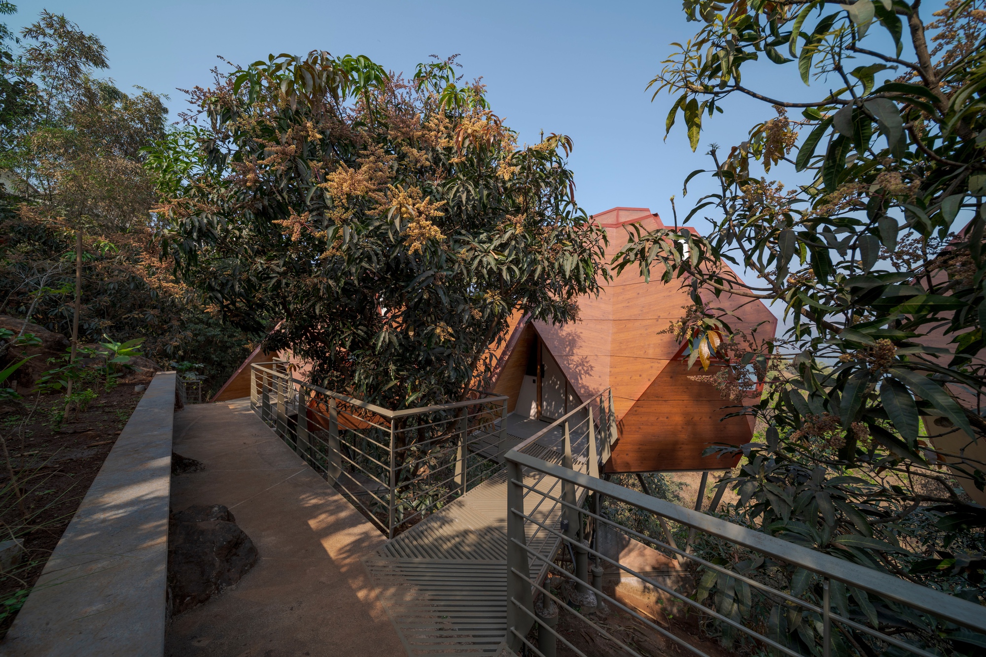Jugnoo Cabin / PMA madhushala: кабины, встроенные в склон между деревьями