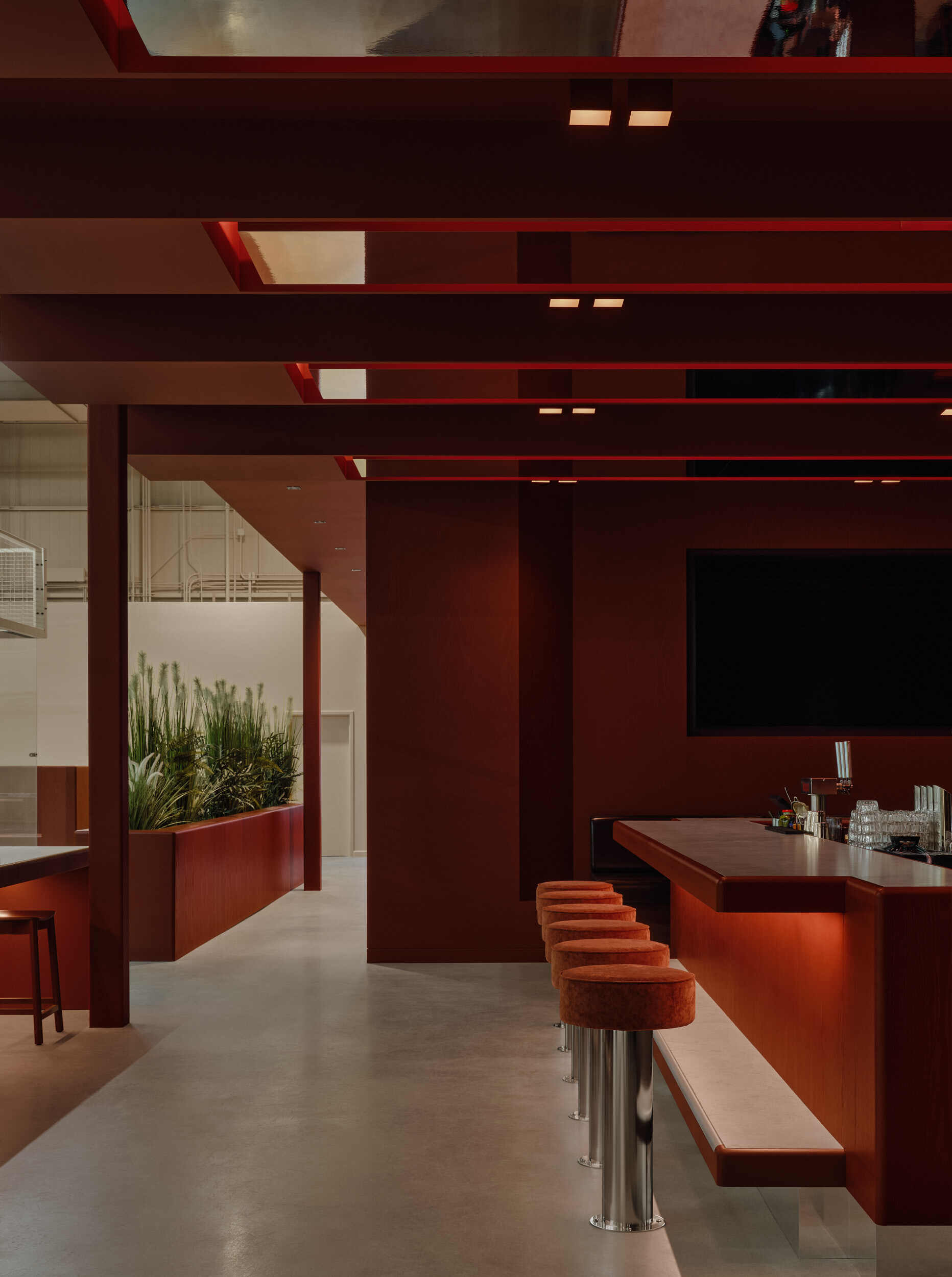 KOPA / Ivy Studio