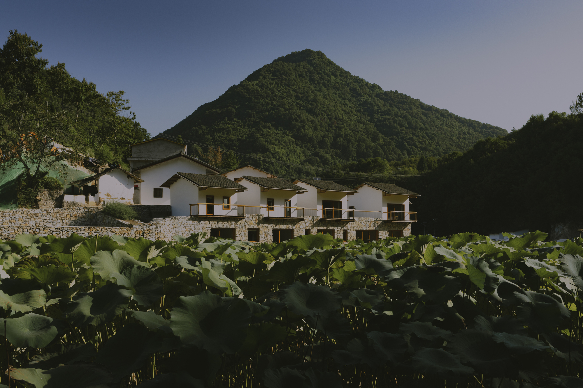LuZhai Cottage / kooo architects