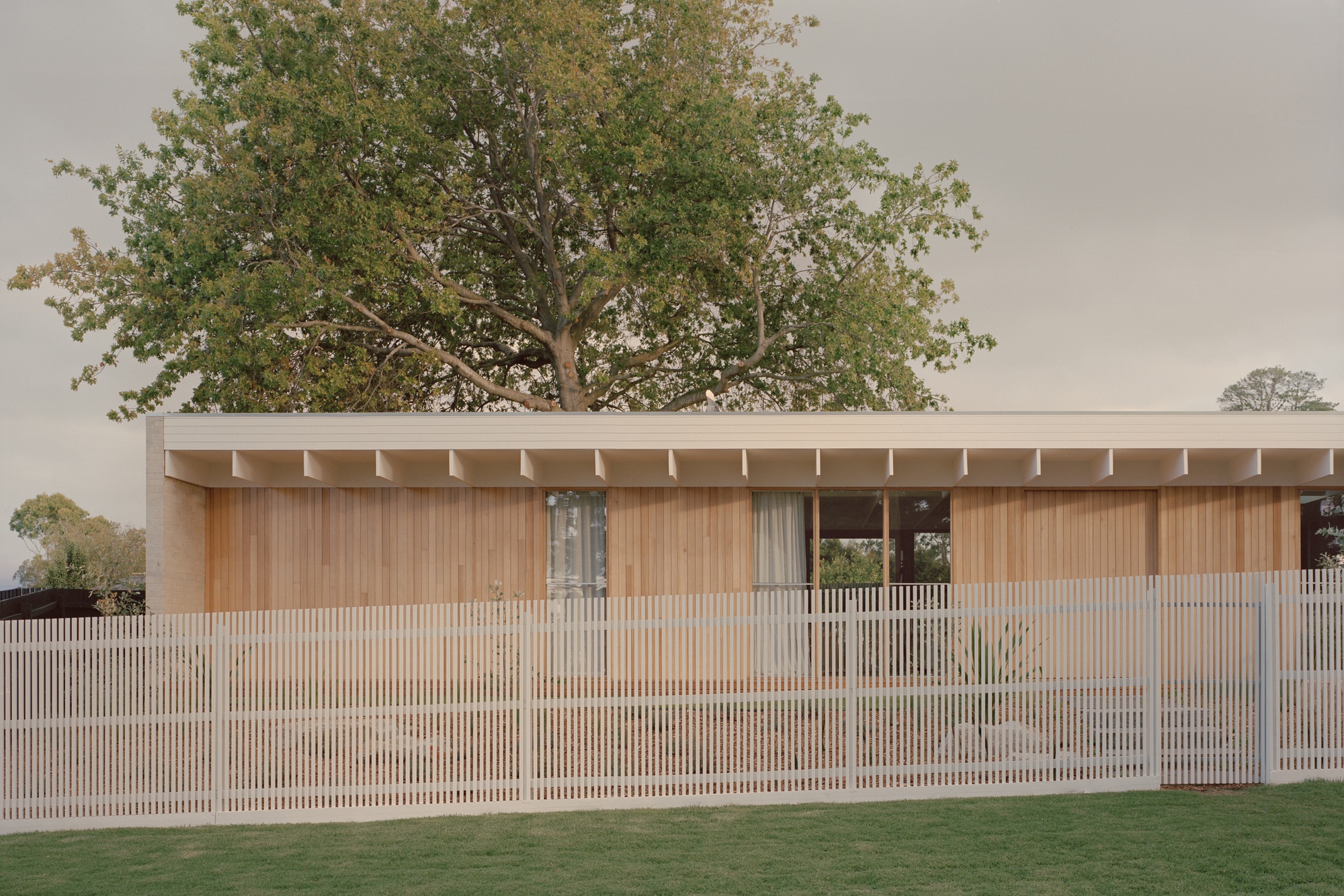 Mount Martha House / Victoria Merrett Architects
