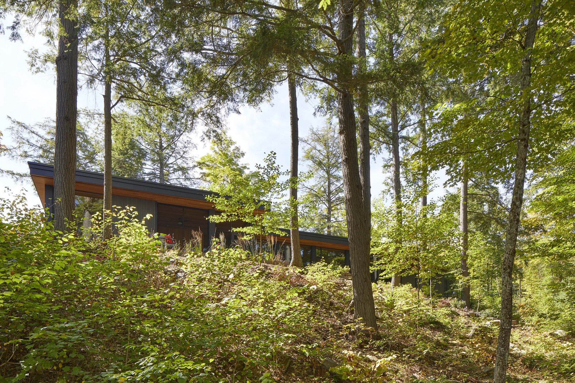 Percy Lake Cottage / Michael Taylor Architecture + Design