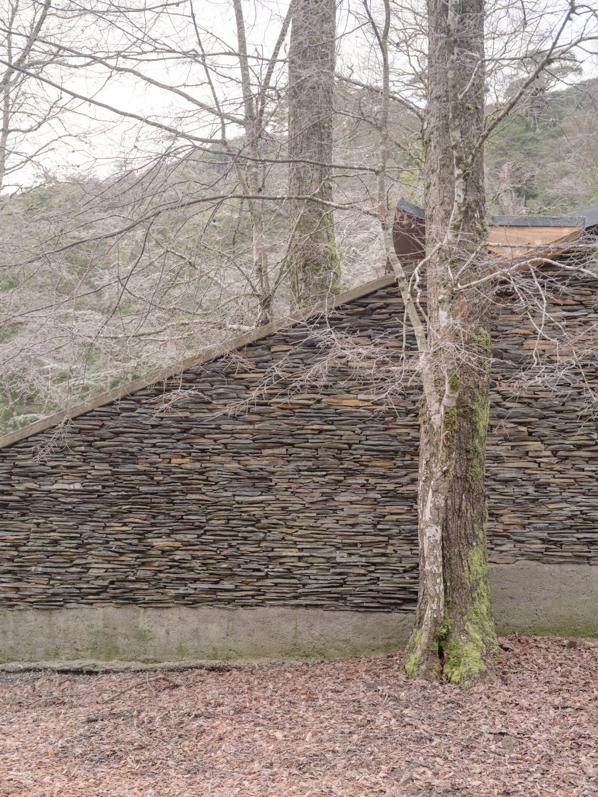 Huerquehue Refuge / DRAA — каменный приют в лесу Пукона