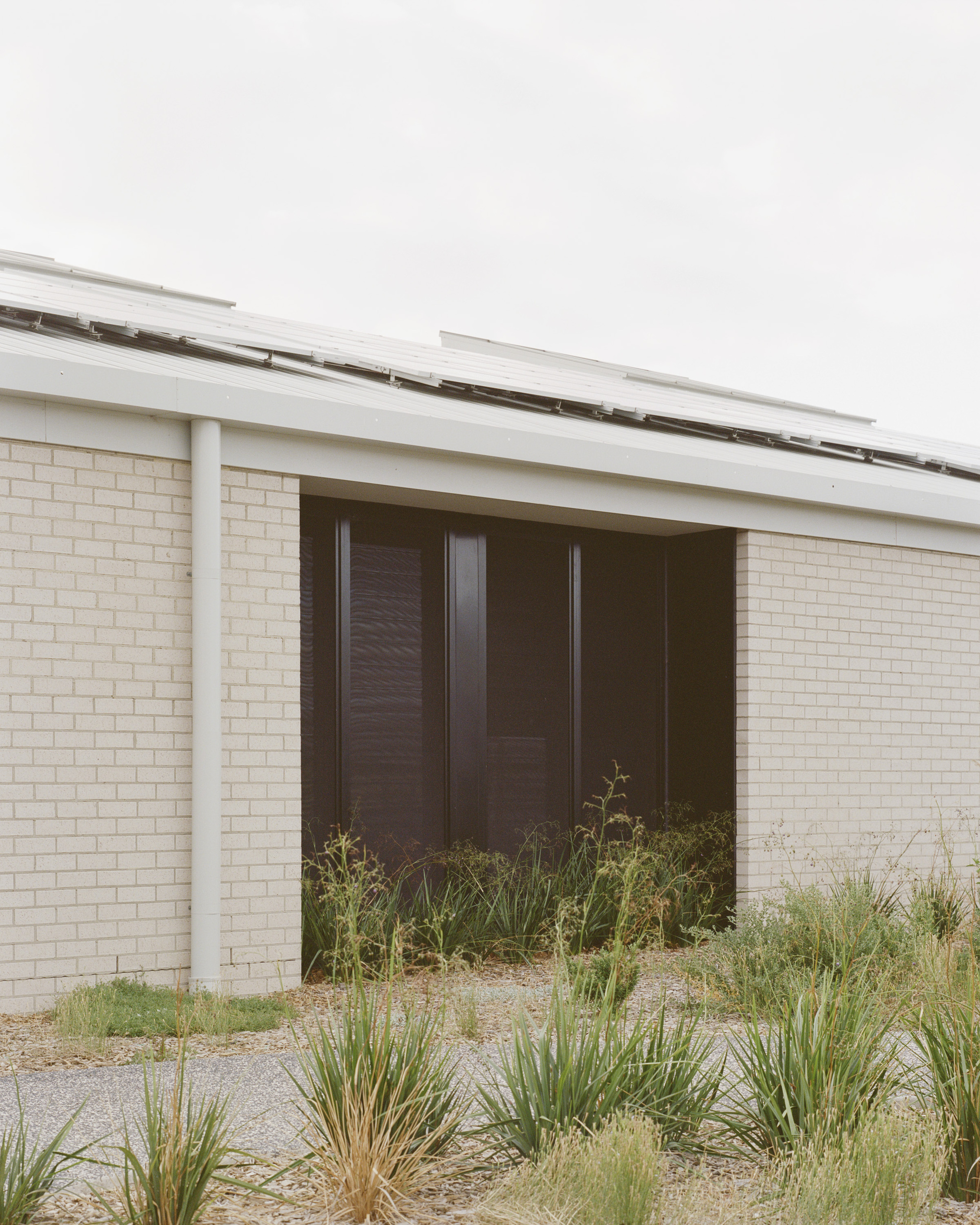 Meadows Primary School / Project 12 Architecture