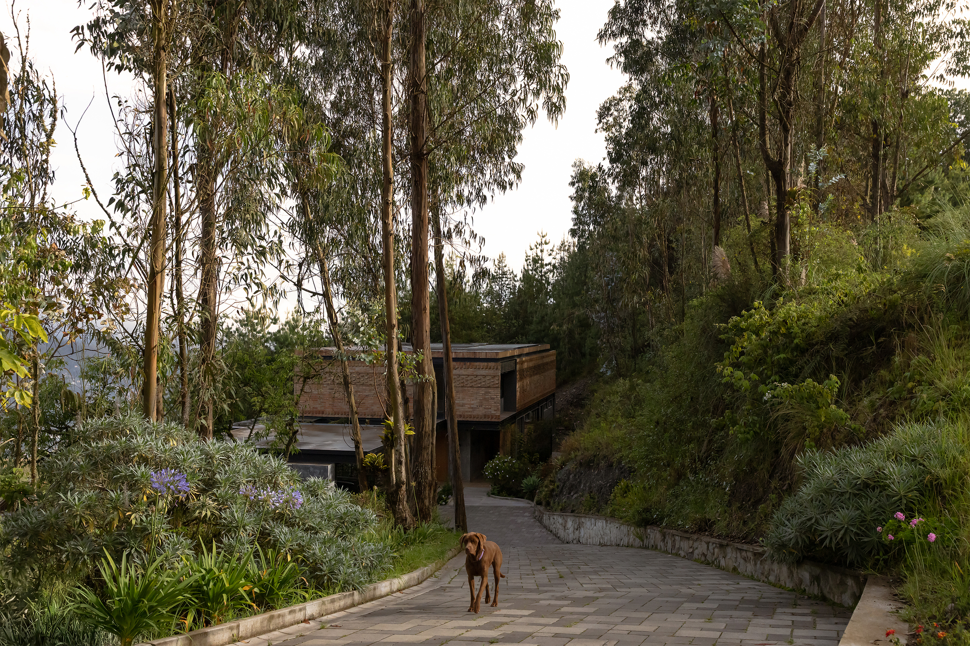 Casa 29 / estudio29
