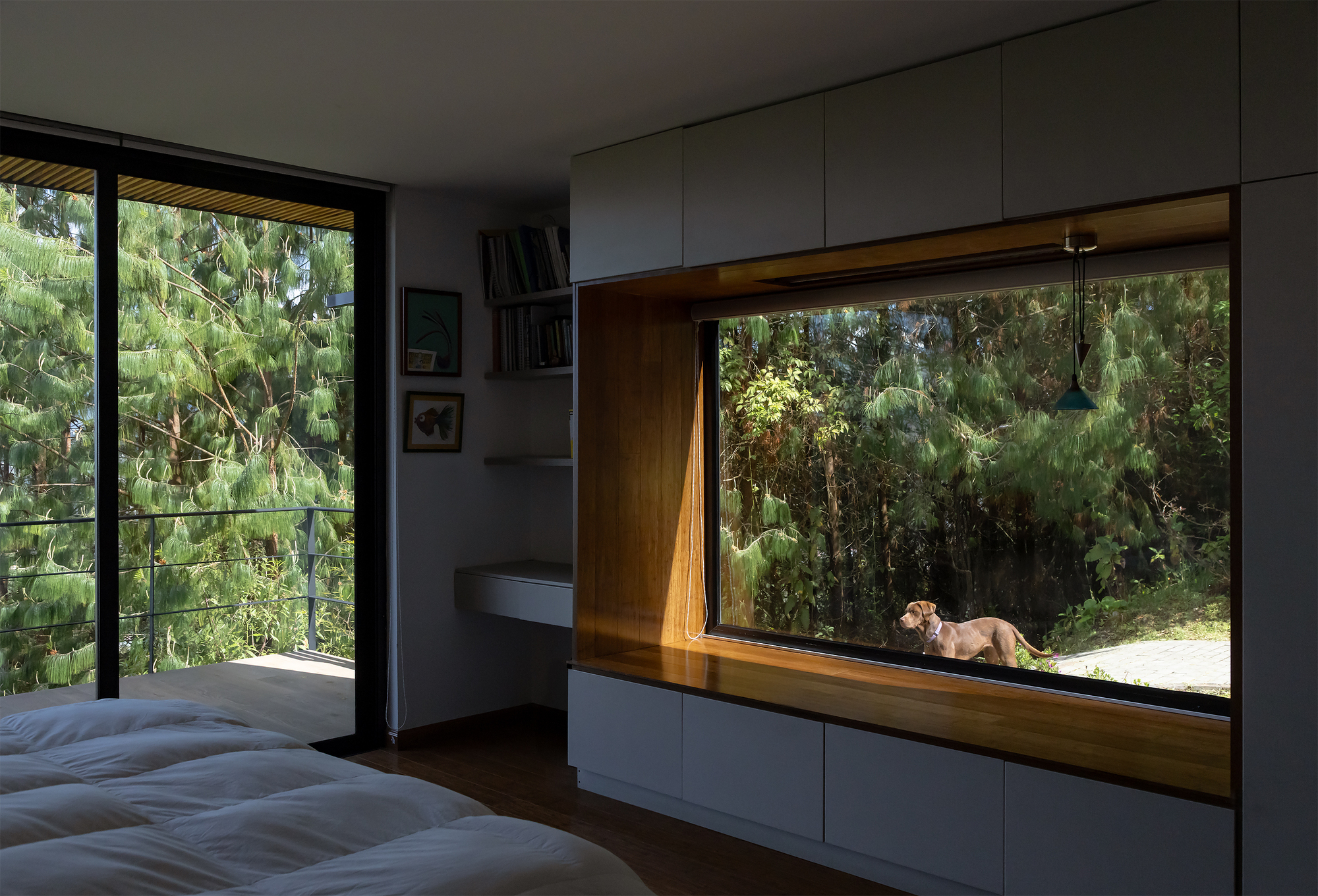Casa 29 / estudio29