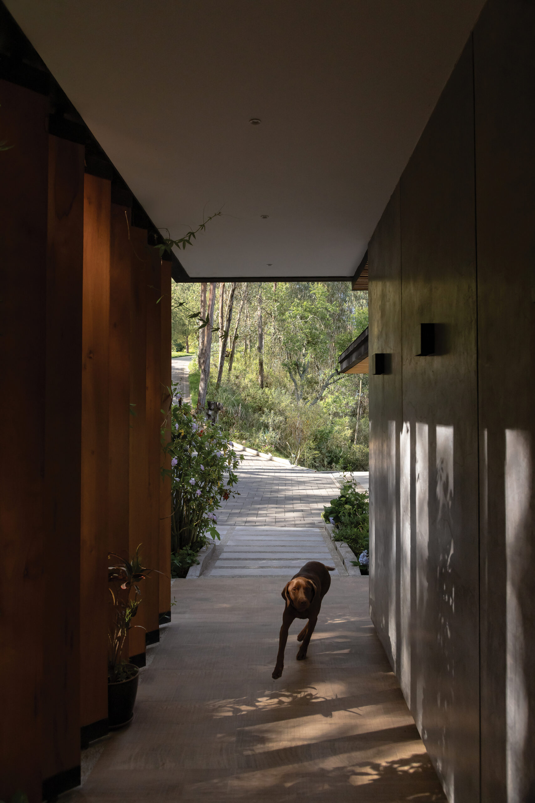 Casa 29 / estudio29