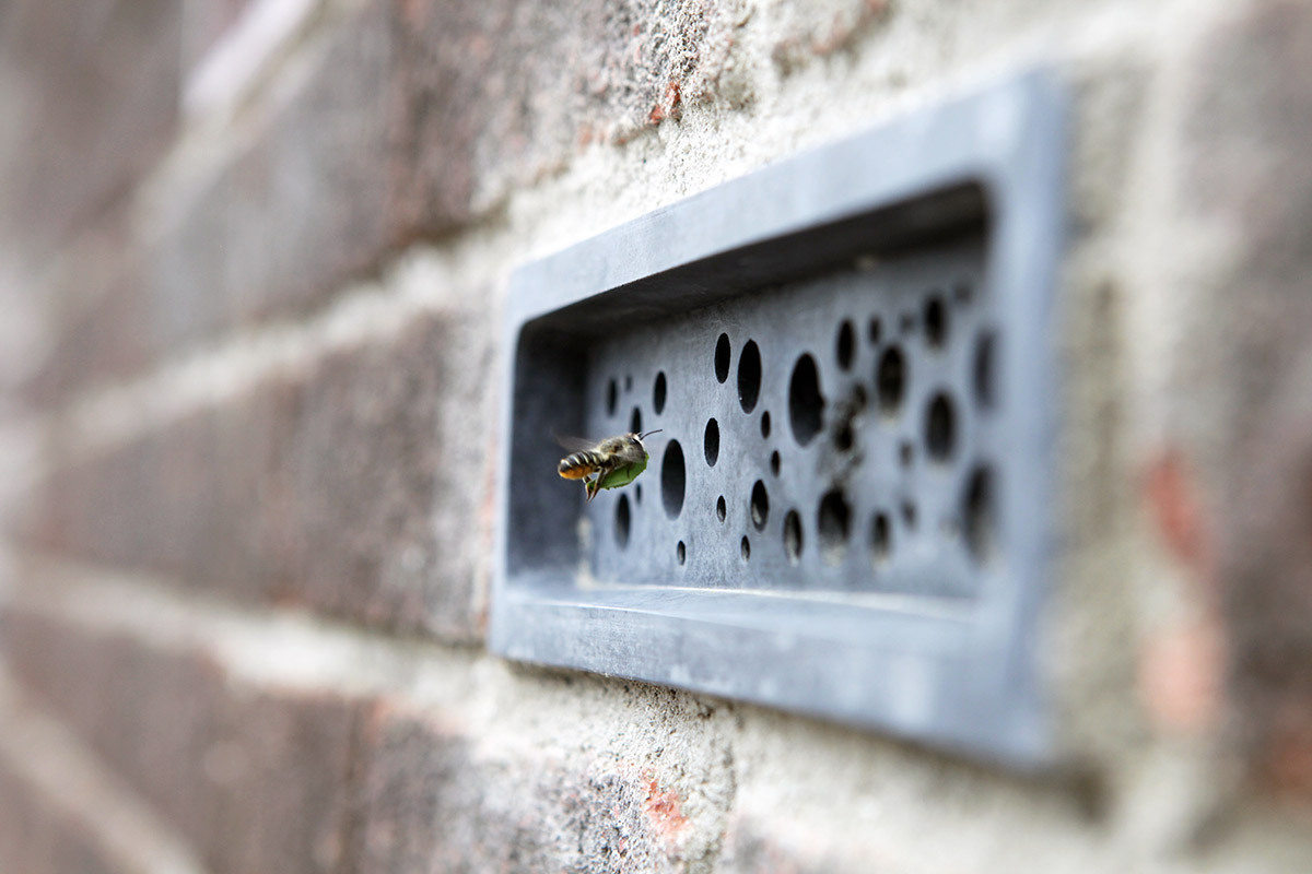 Transspecies Architecture: июньский редакционный фокус ArchDaily