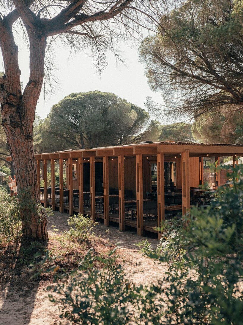 Trenchs Studio спроектировала низкоинтенсивный glamping среди сосен в Кадисе