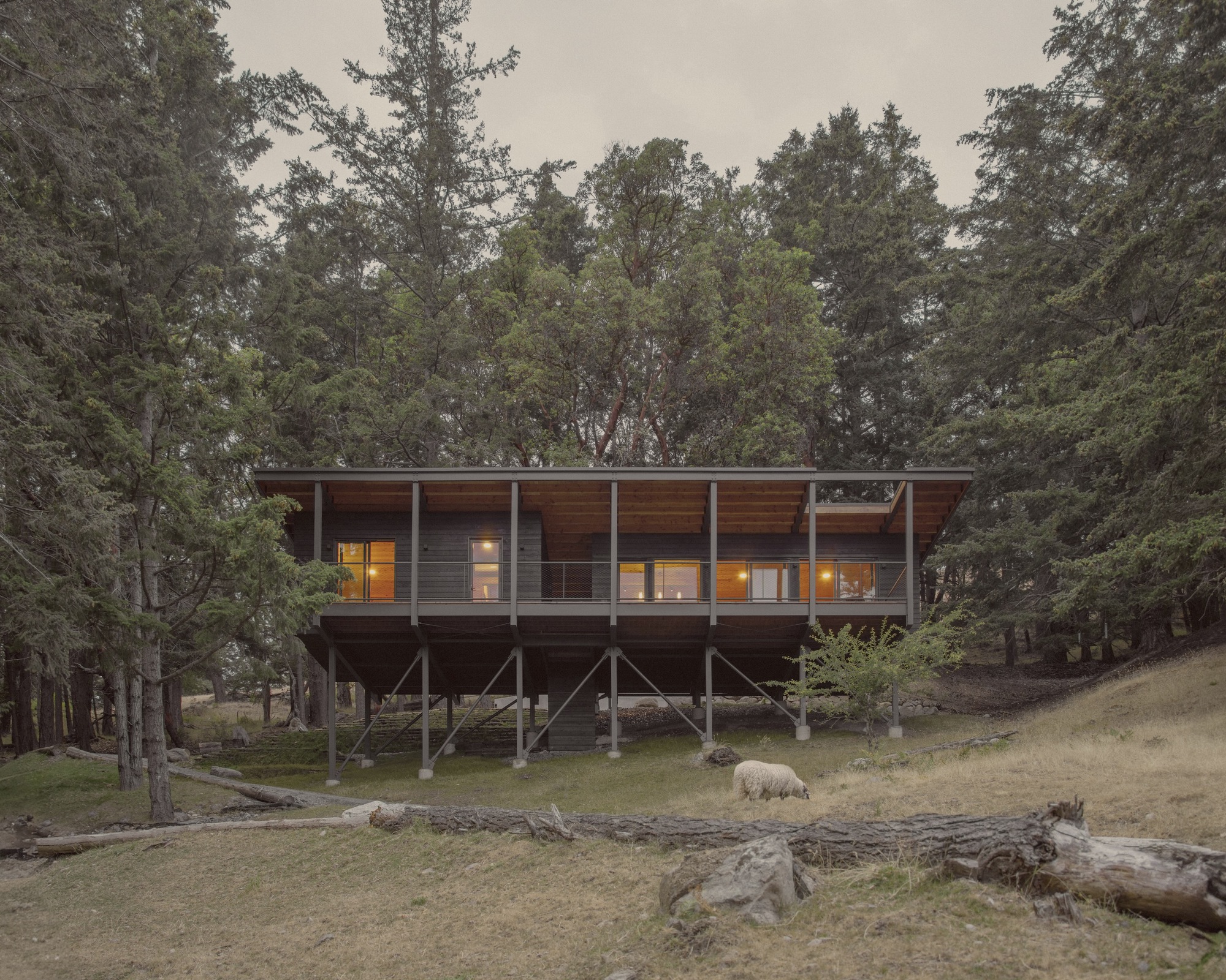 Trestle Cabin / Miller Hull Partnership