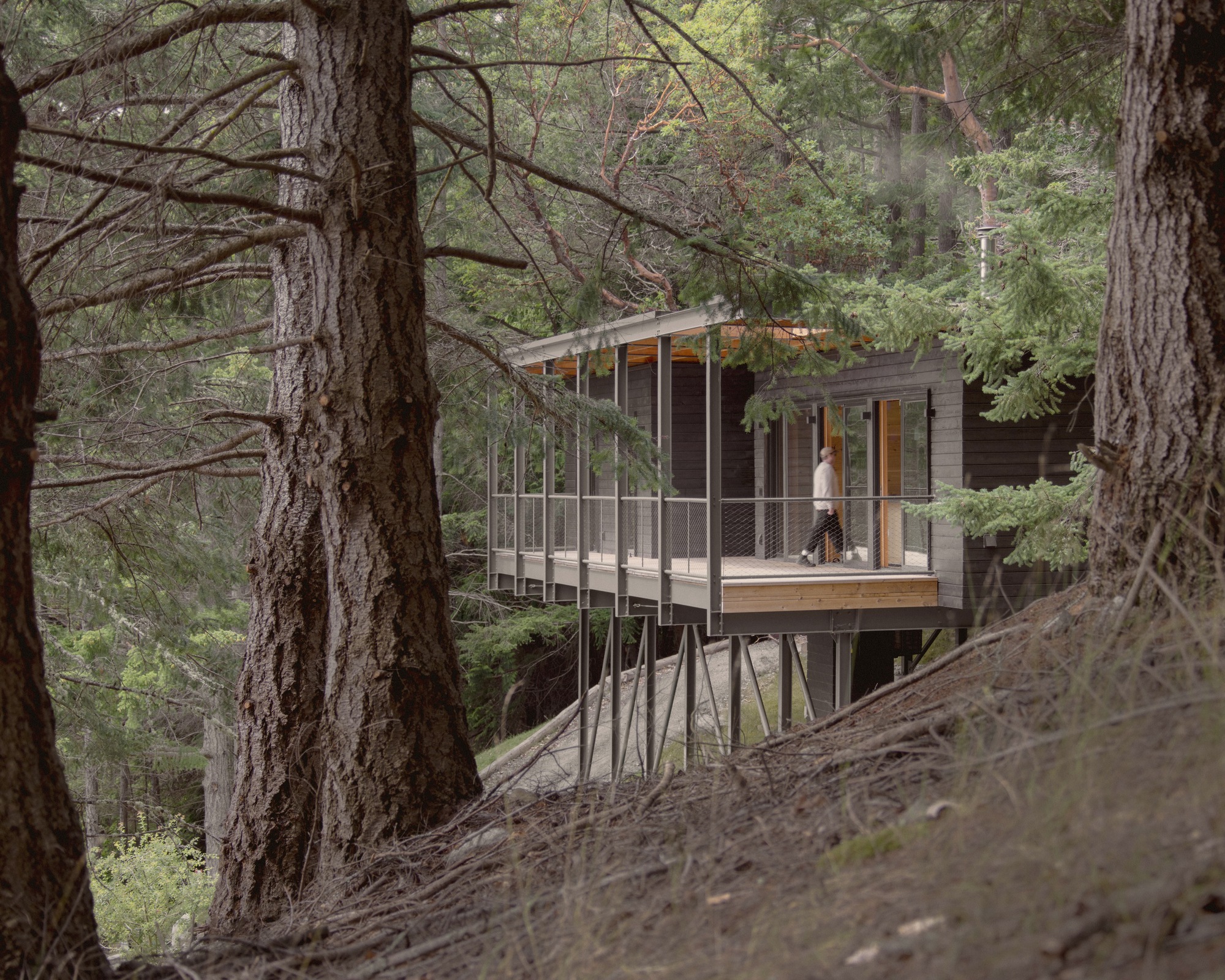 Trestle Cabin / Miller Hull Partnership