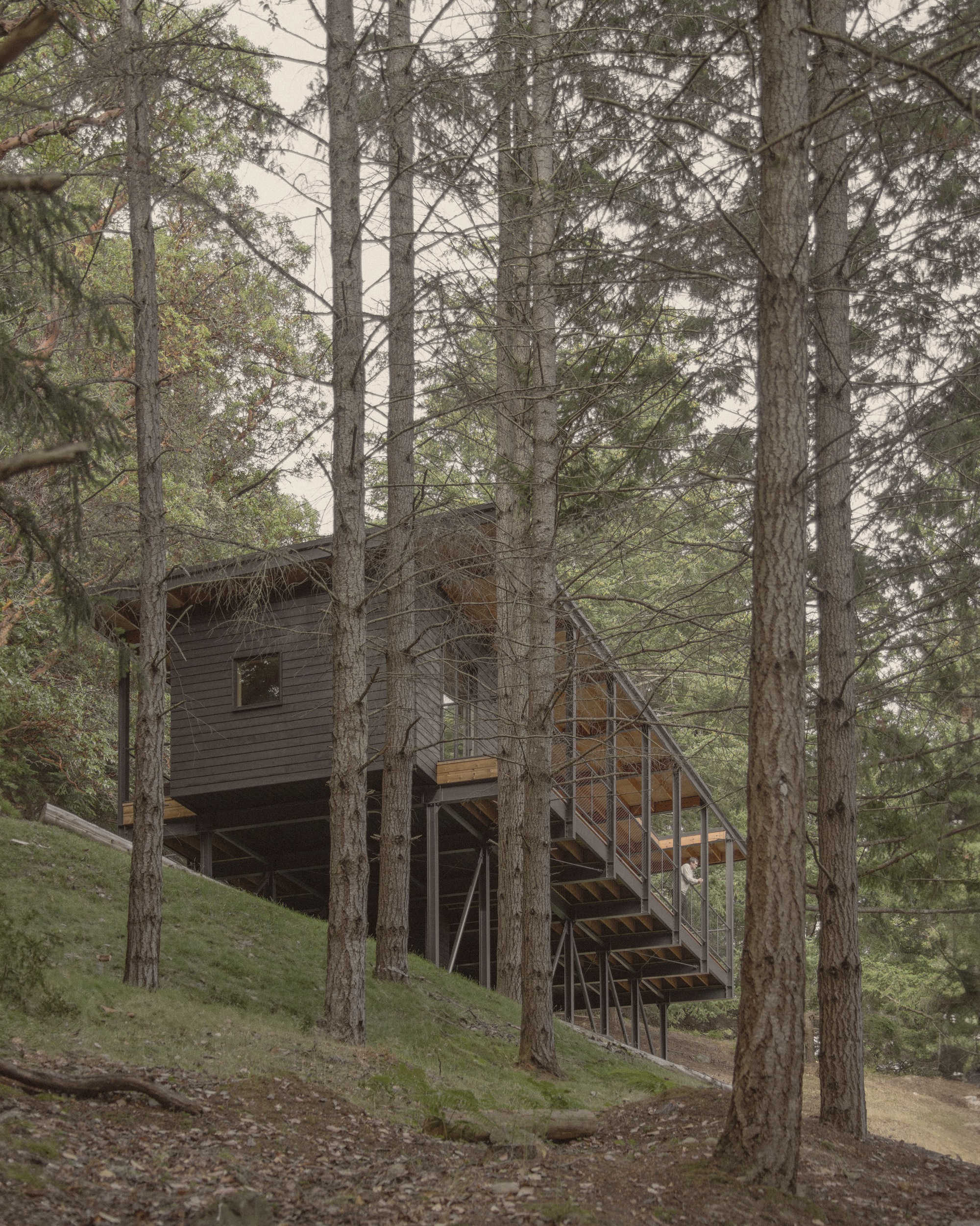 Trestle Cabin / Miller Hull Partnership