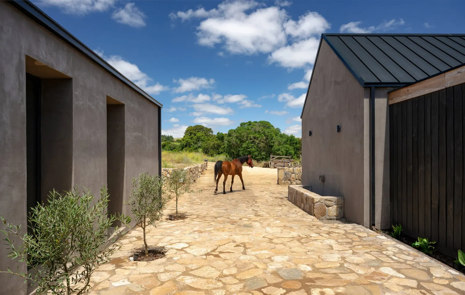 Дом Illapangui del Peumo / Vergara Arquitectos