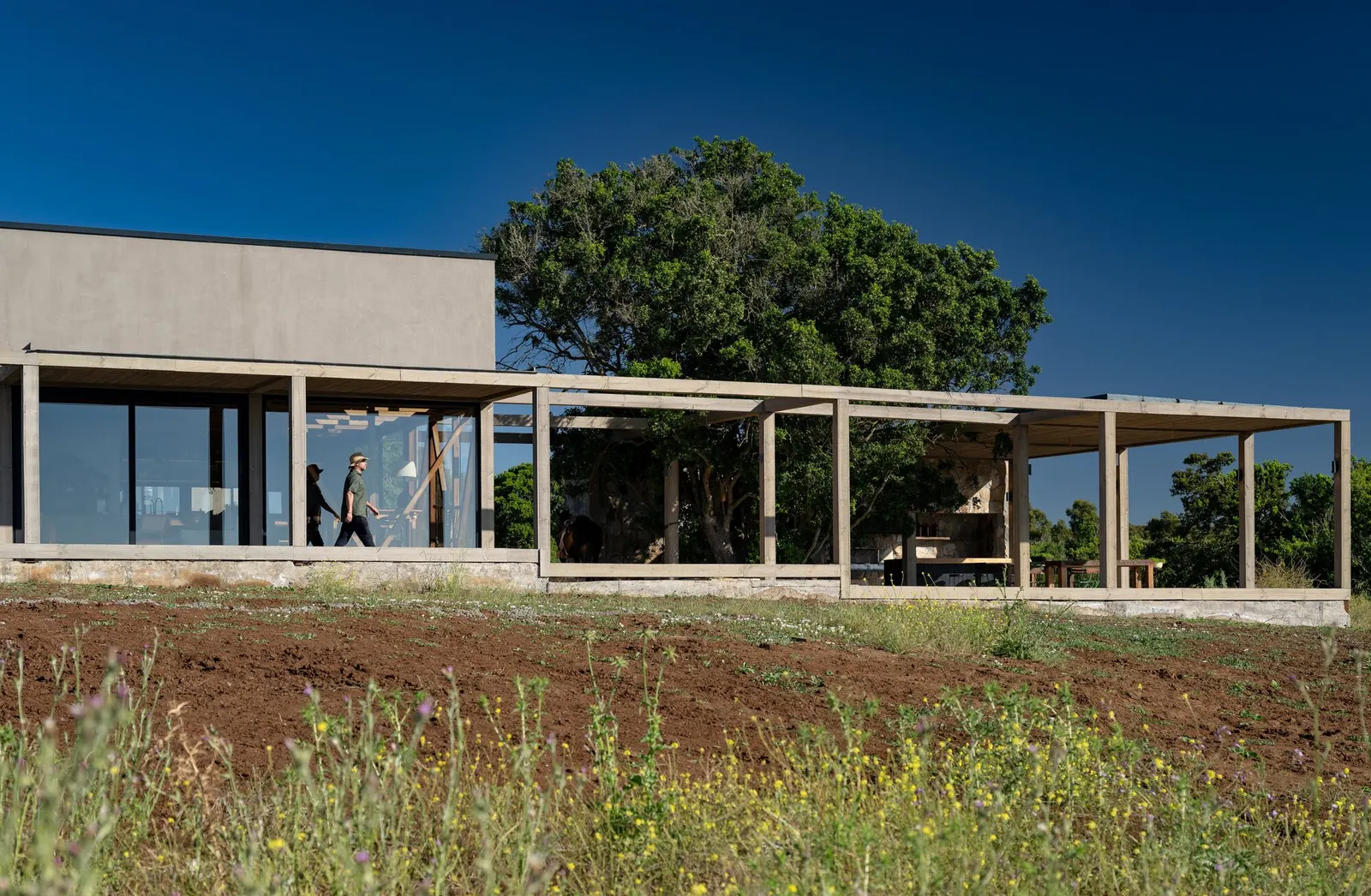 Дом Illapangui del Peumo / Vergara Arquitectos