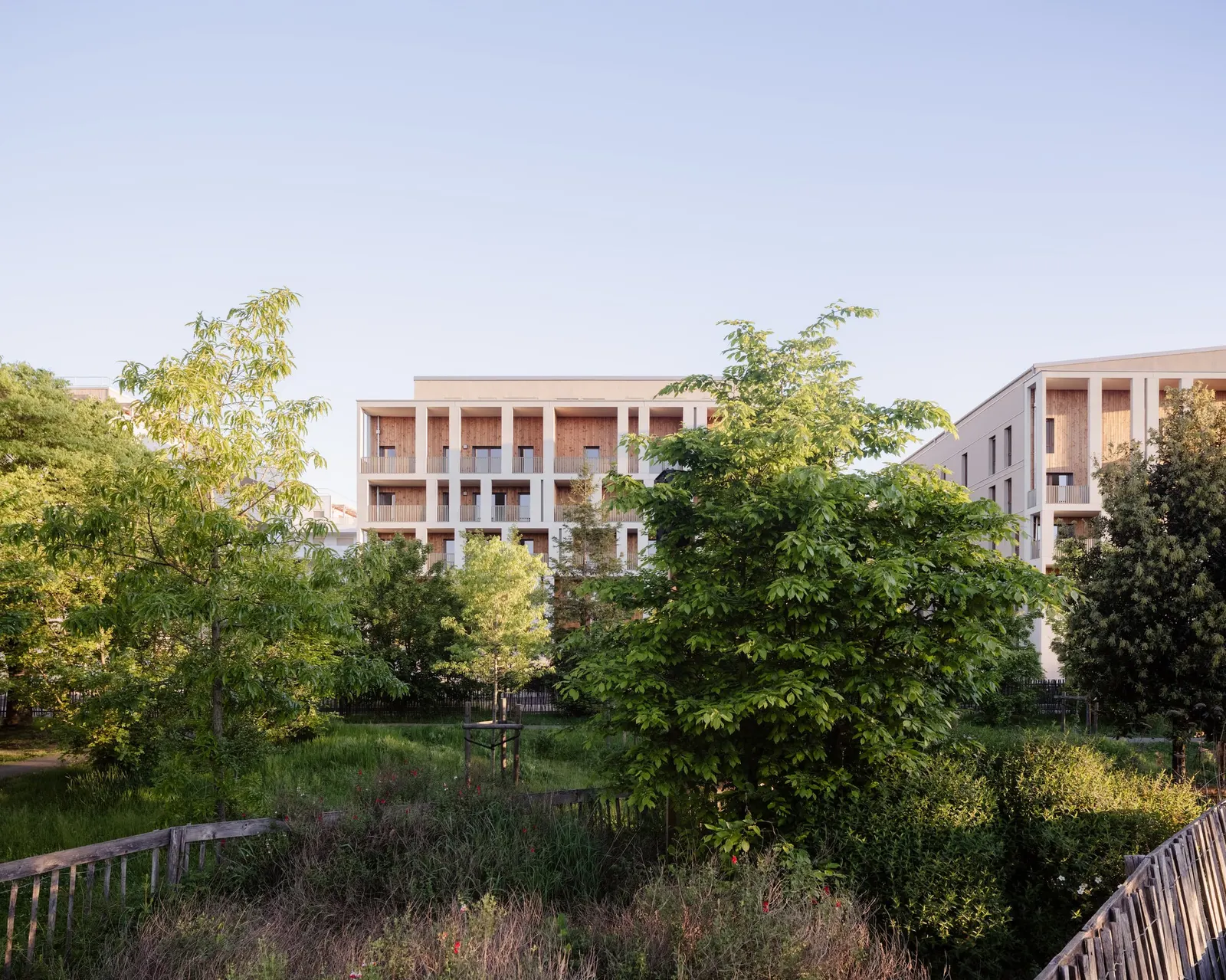 Racine Carrée Social Housing / rue royale architectes