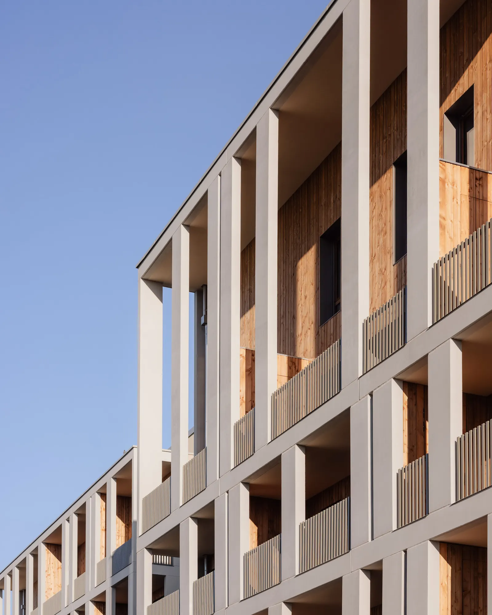Racine Carrée Social Housing / rue royale architectes