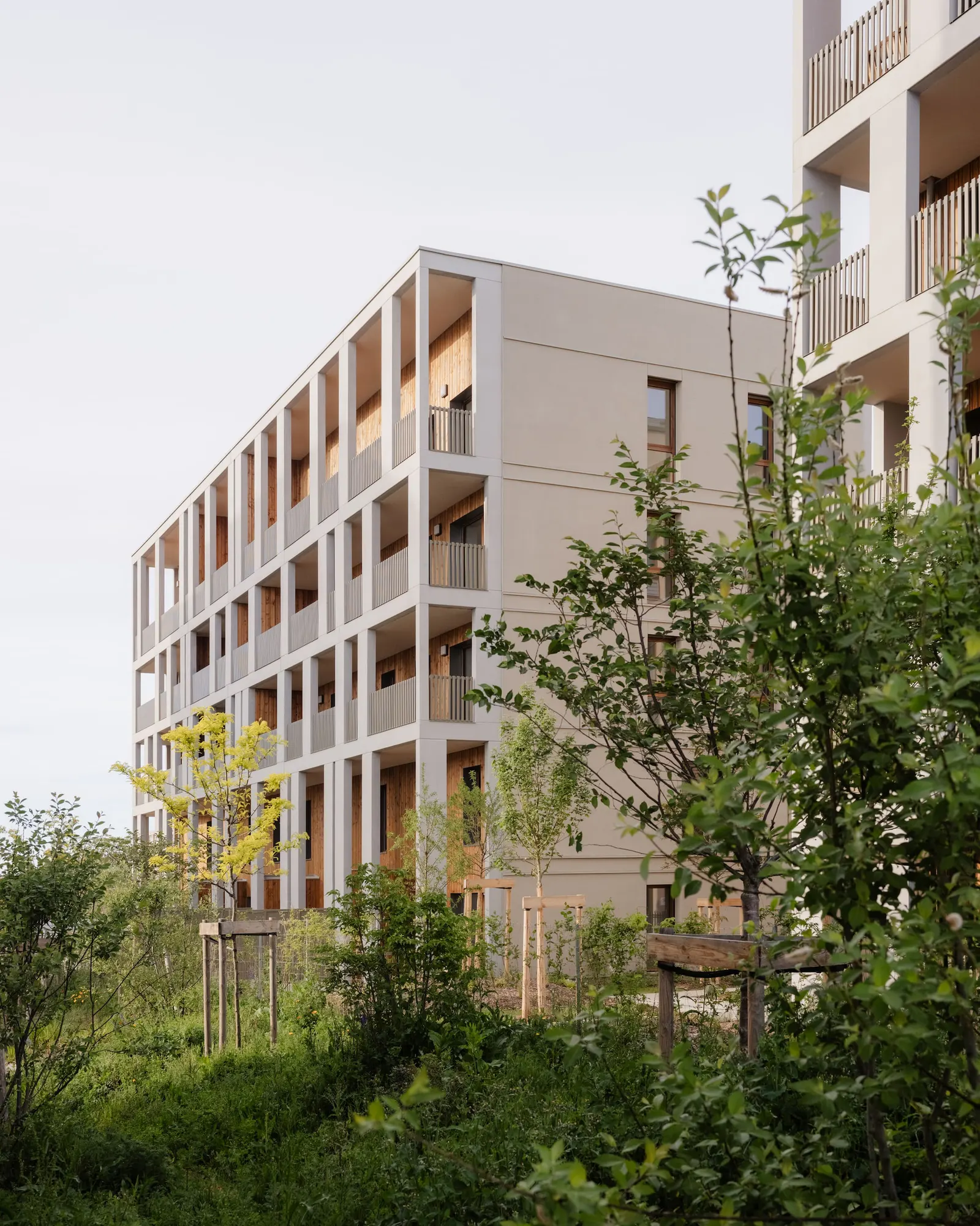 Racine Carrée Social Housing / rue royale architectes
