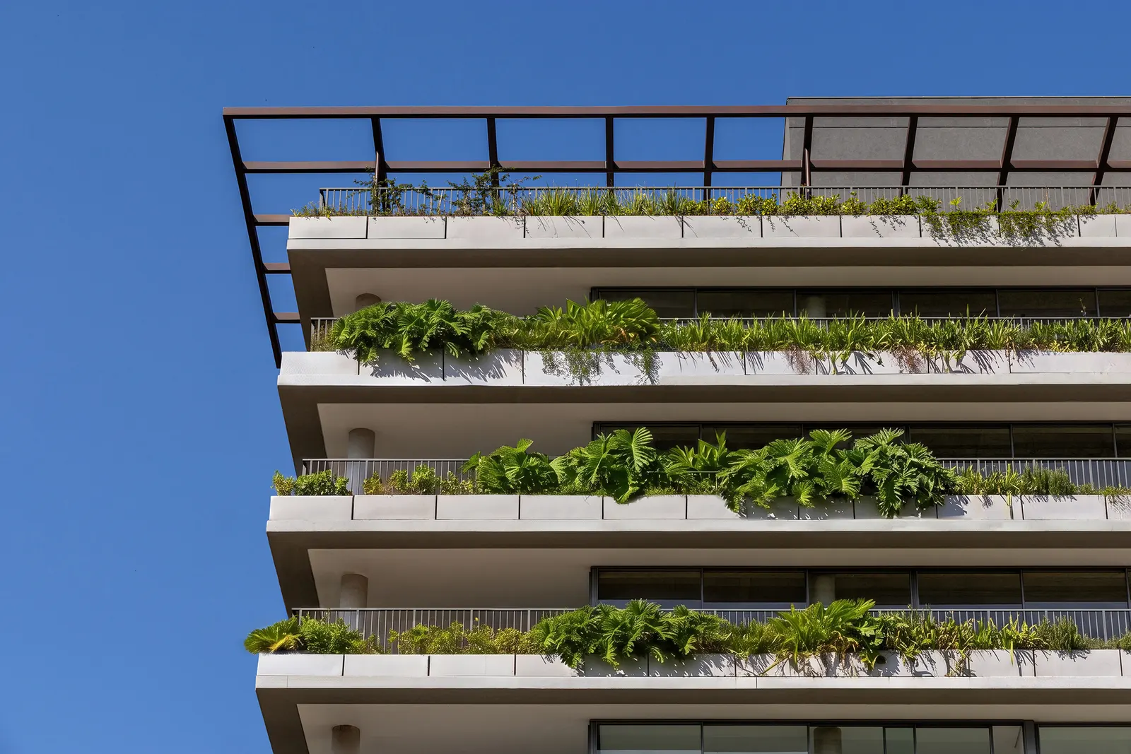Casa Arbo: жилой дом Perkins&Will в Сан-Паулу, где город и природа работают как единое пространство