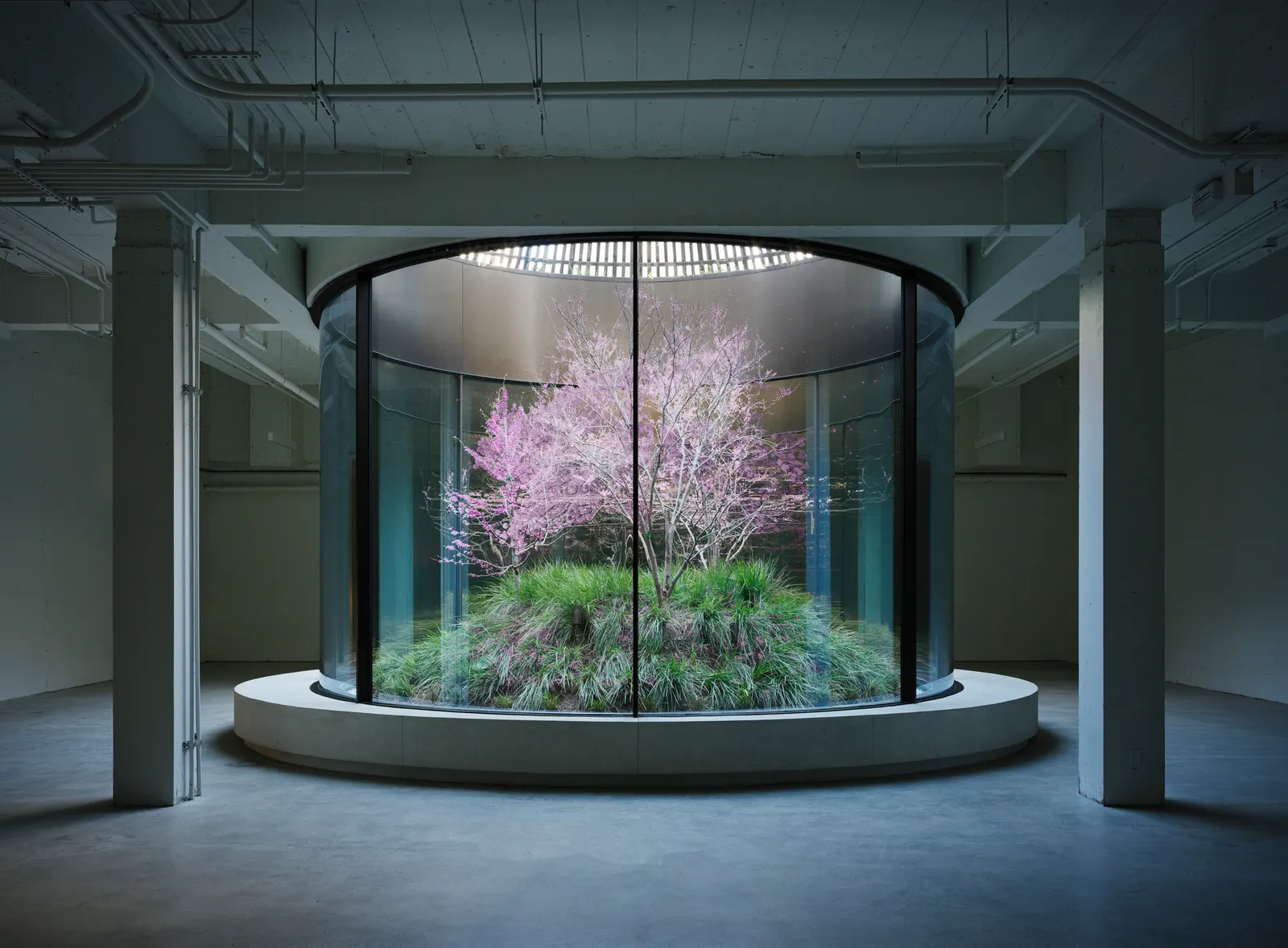 9720 Wilshire Building / Montalba Architects