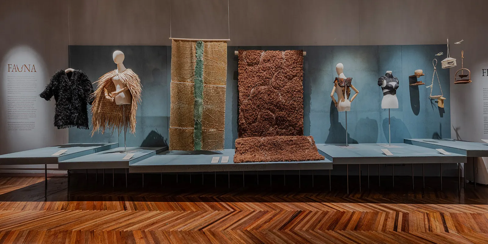 Biodiseño MX: Territorios Vivos в Museo Franz Mayer: биоматериалы и наследие мексиканского дизайна