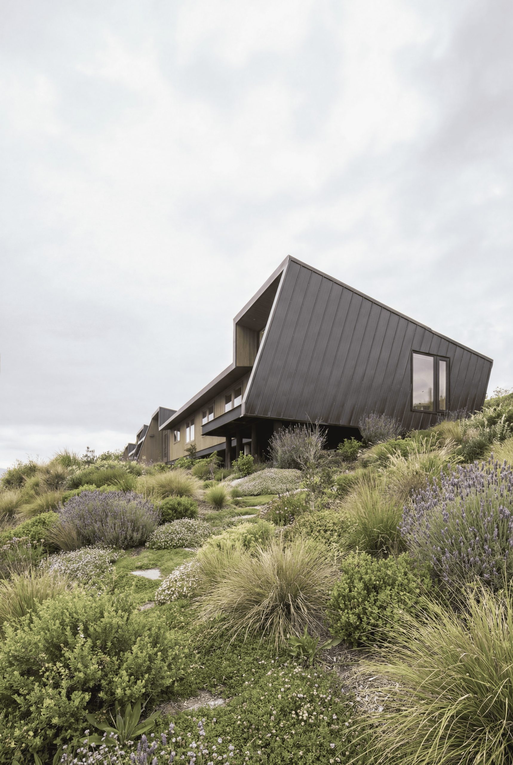 VE House / Triangular