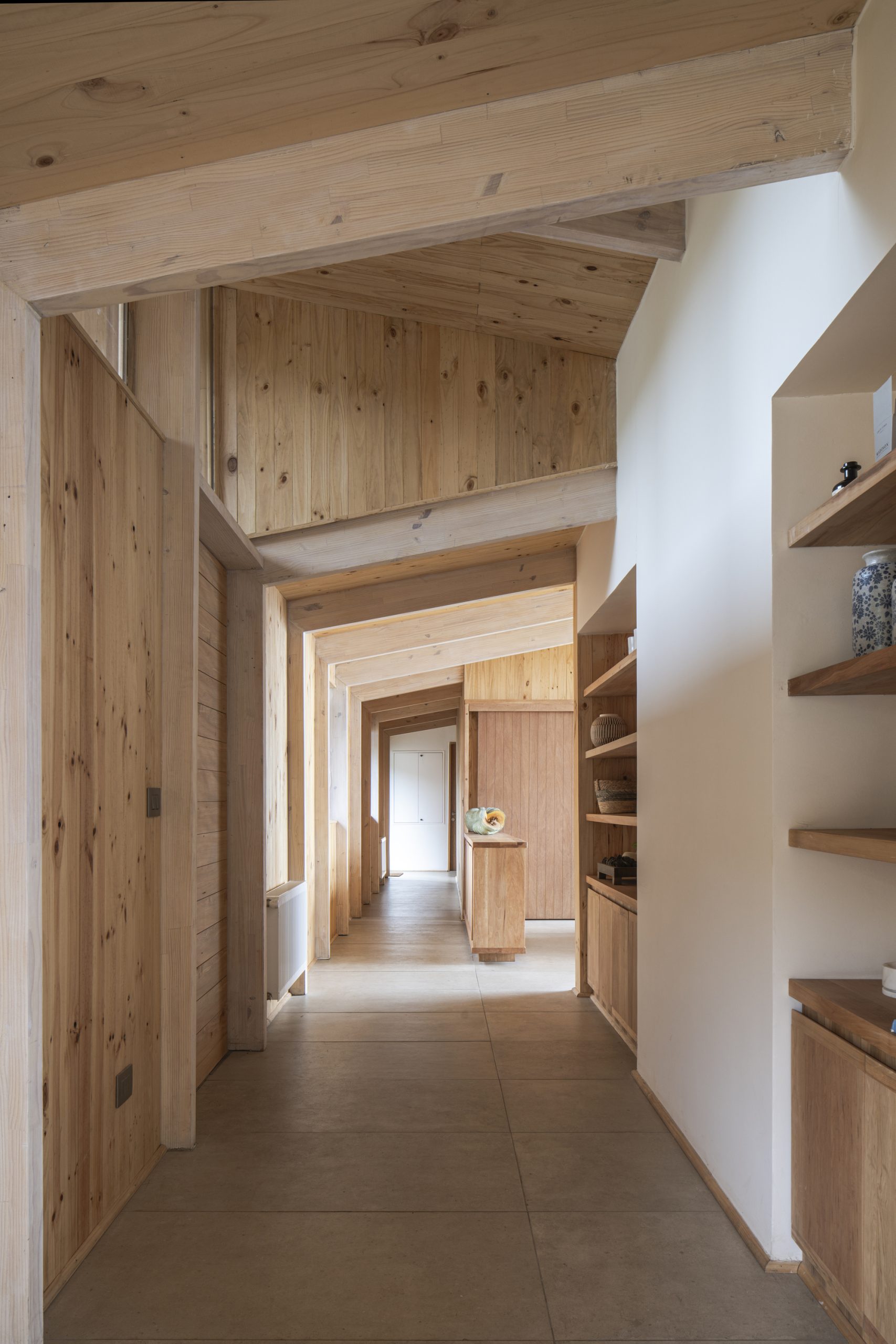VE House / Triangular