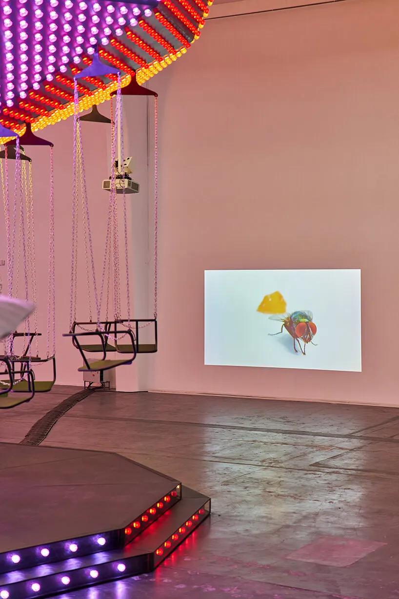 Carsten Höller показал в Пекине выставку «Two» с двумя параллельными версиями экспозиции