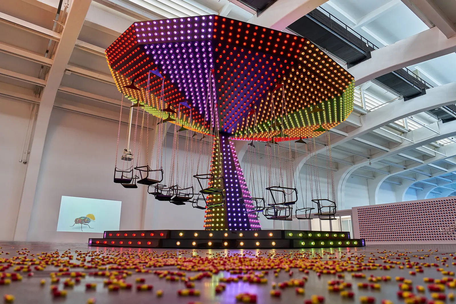 Carsten Höller показал в Пекине выставку «Two» с двумя параллельными версиями экспозиции
