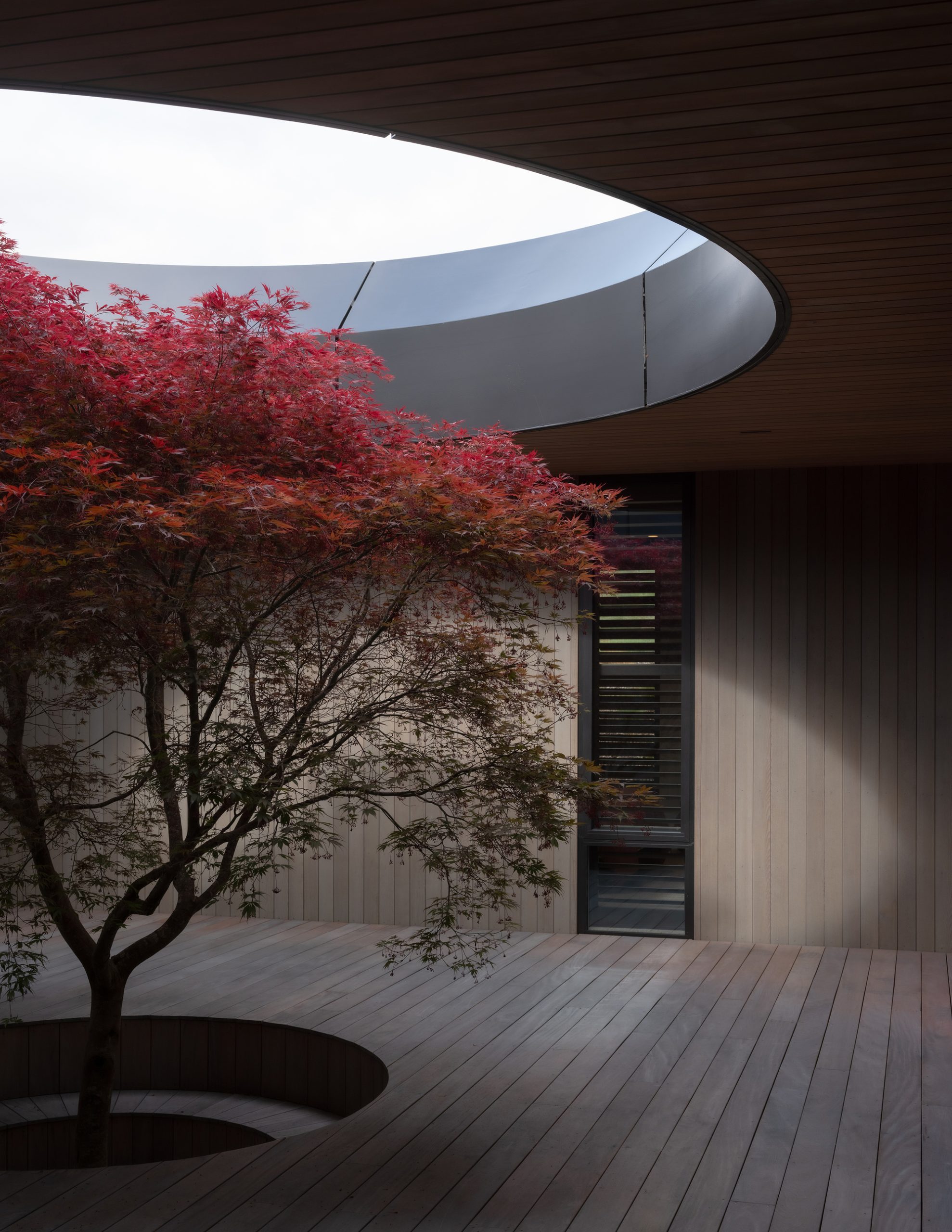 Oculus House / Condon Scott Architects