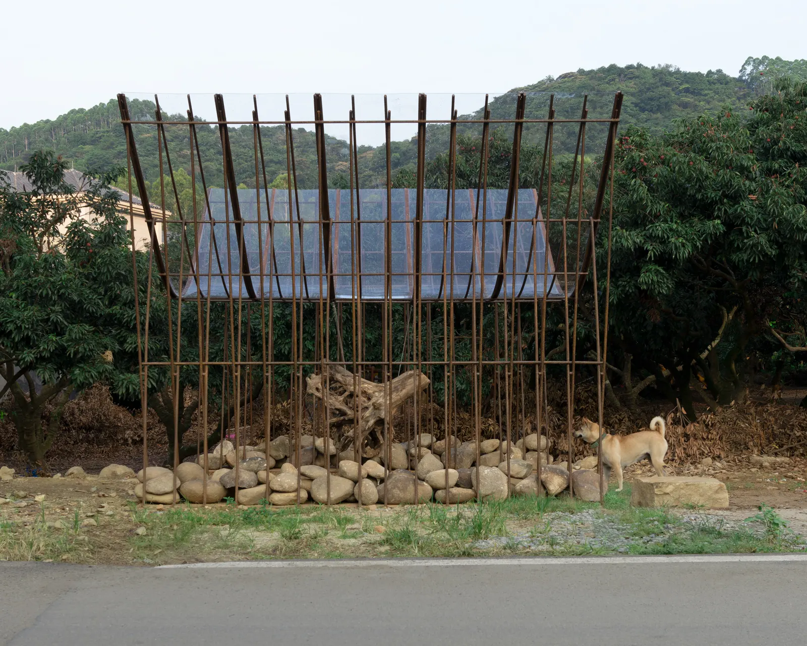 Deadwood Hut / Insight Architects