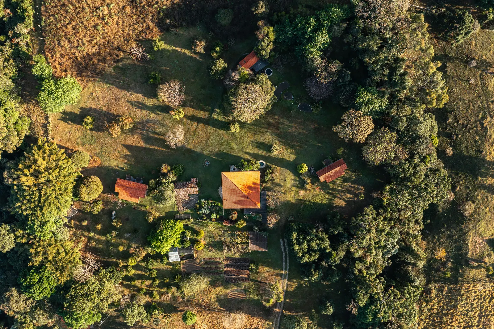 Дом Ponta Fina в Айуруоке: восстановление плато на склонах Serra do Papagaio