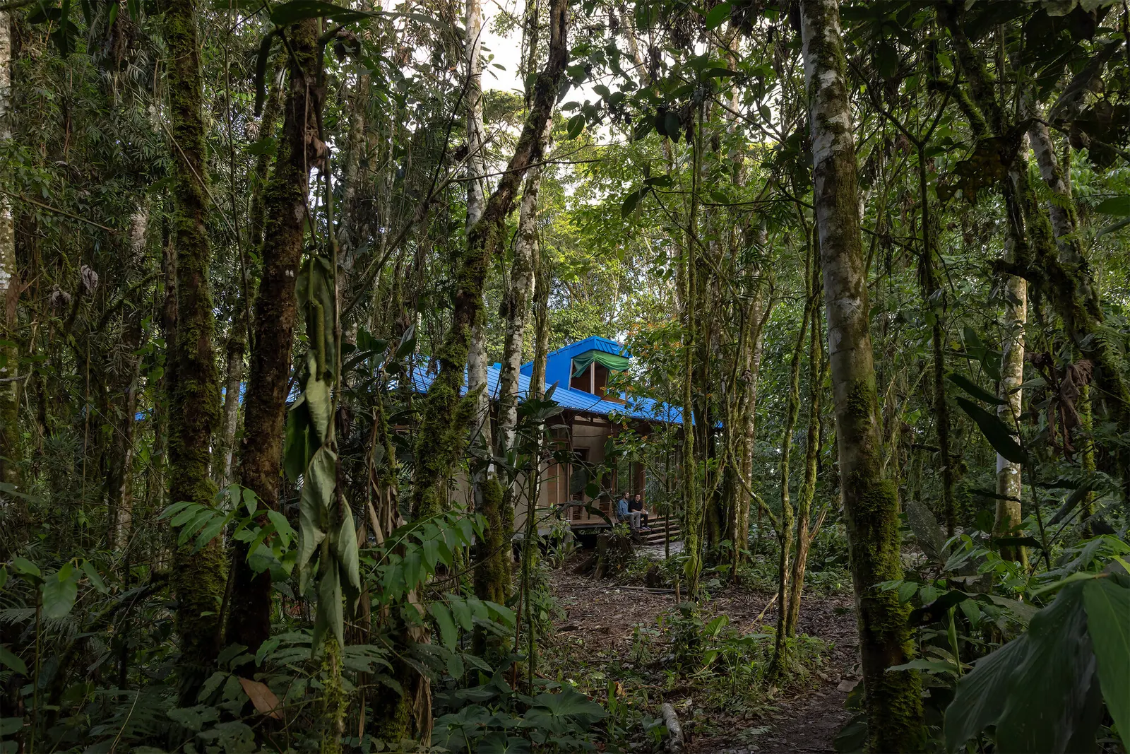 WildSumaco Research Pavilion / Caá Porá Arquitectura