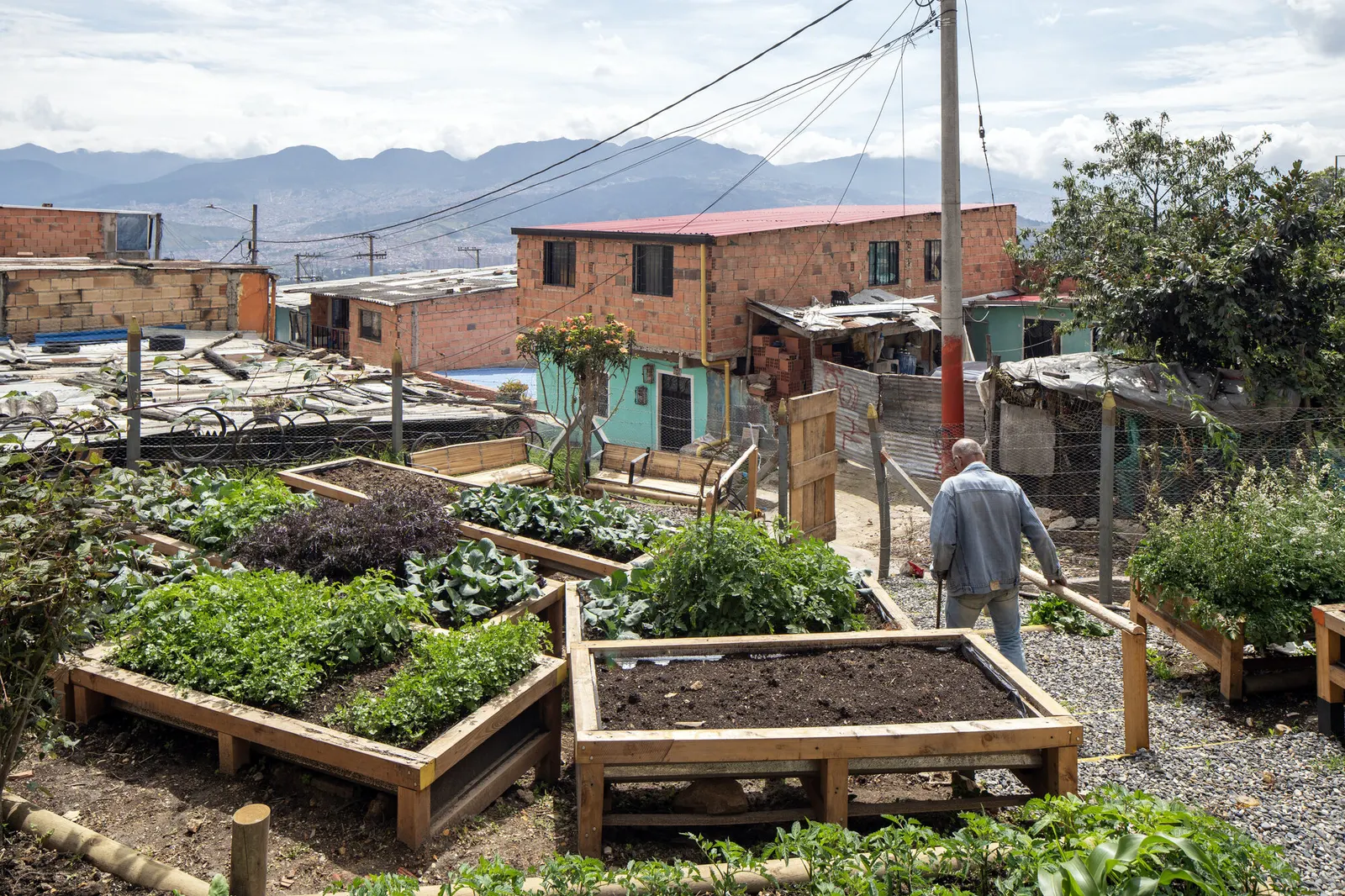 Help Age Urban Gardens / Yemail Arquitectura