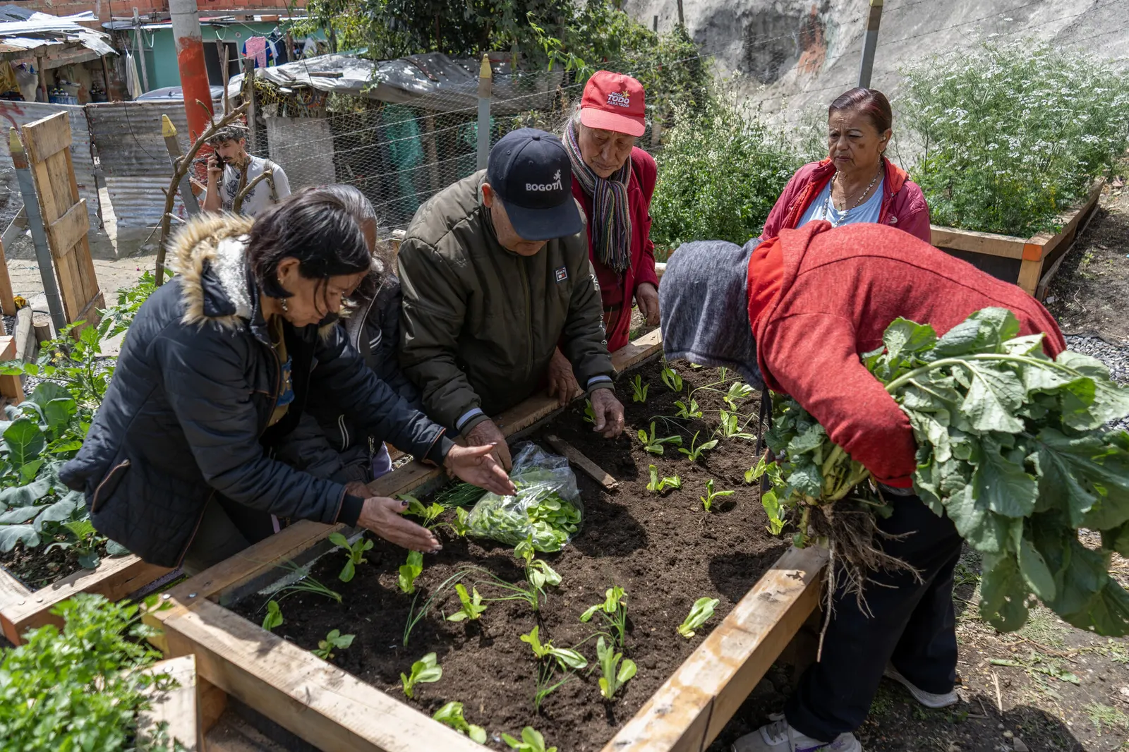Help Age Urban Gardens / Yemail Arquitectura