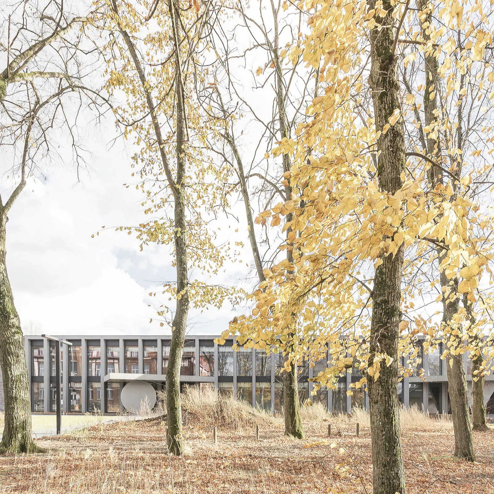 Collège Cardinal Mercier / LT2A + OPEN ARCHITECTES