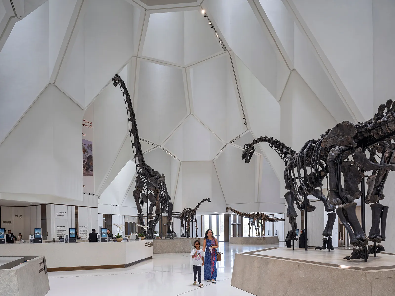 Новые фотографии показывают Natural History Museum Abu Dhabi от Mecanoo после открытия
