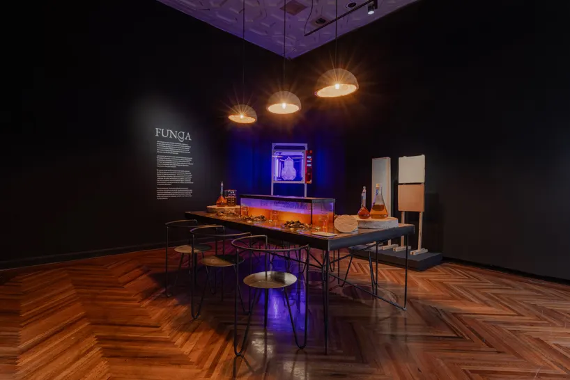 Biodiseño MX: Territorios Vivos в Museo Franz Mayer: биоматериалы и наследие мексиканского дизайна