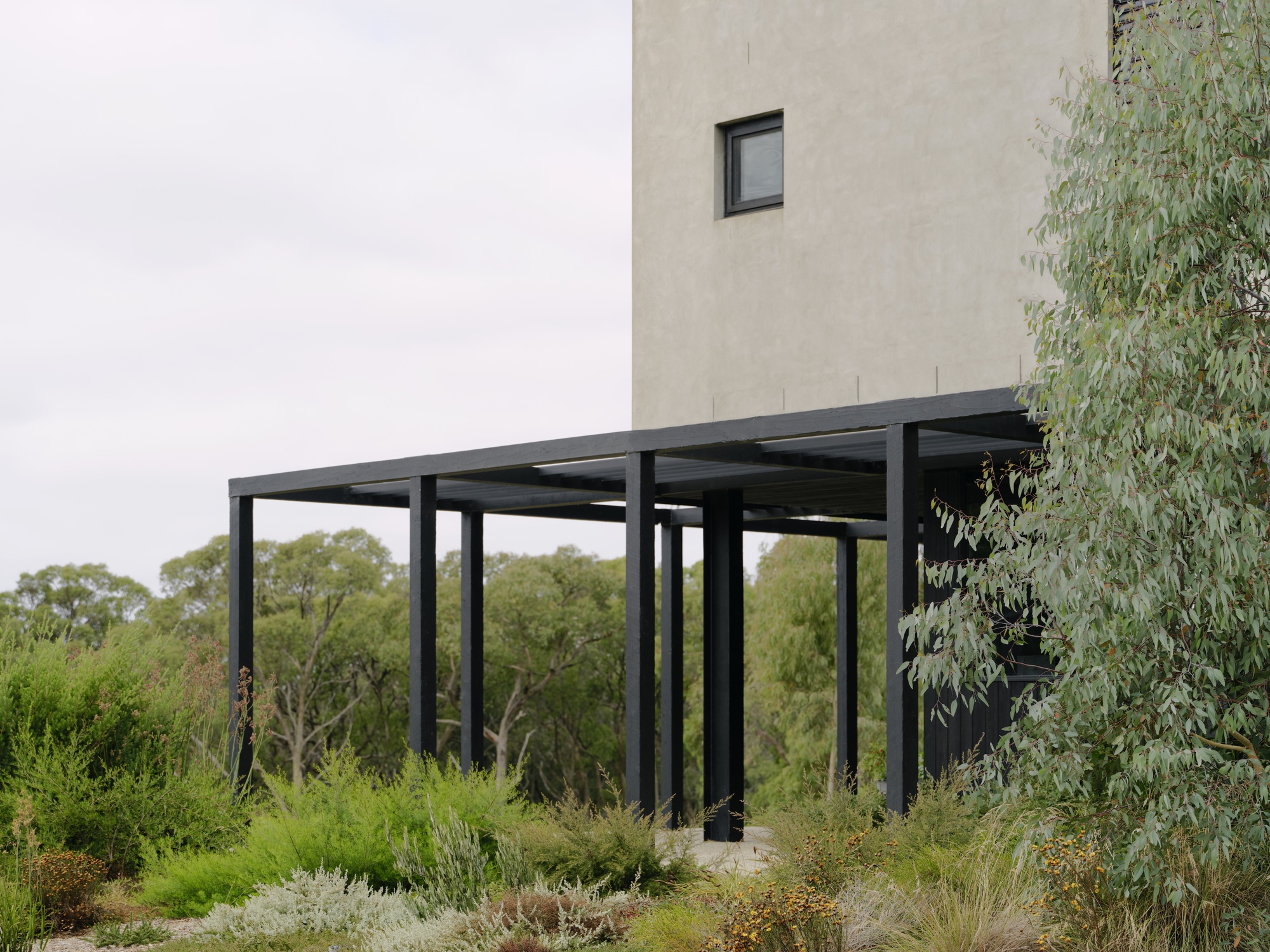 No.41 House / Tristan Burfield