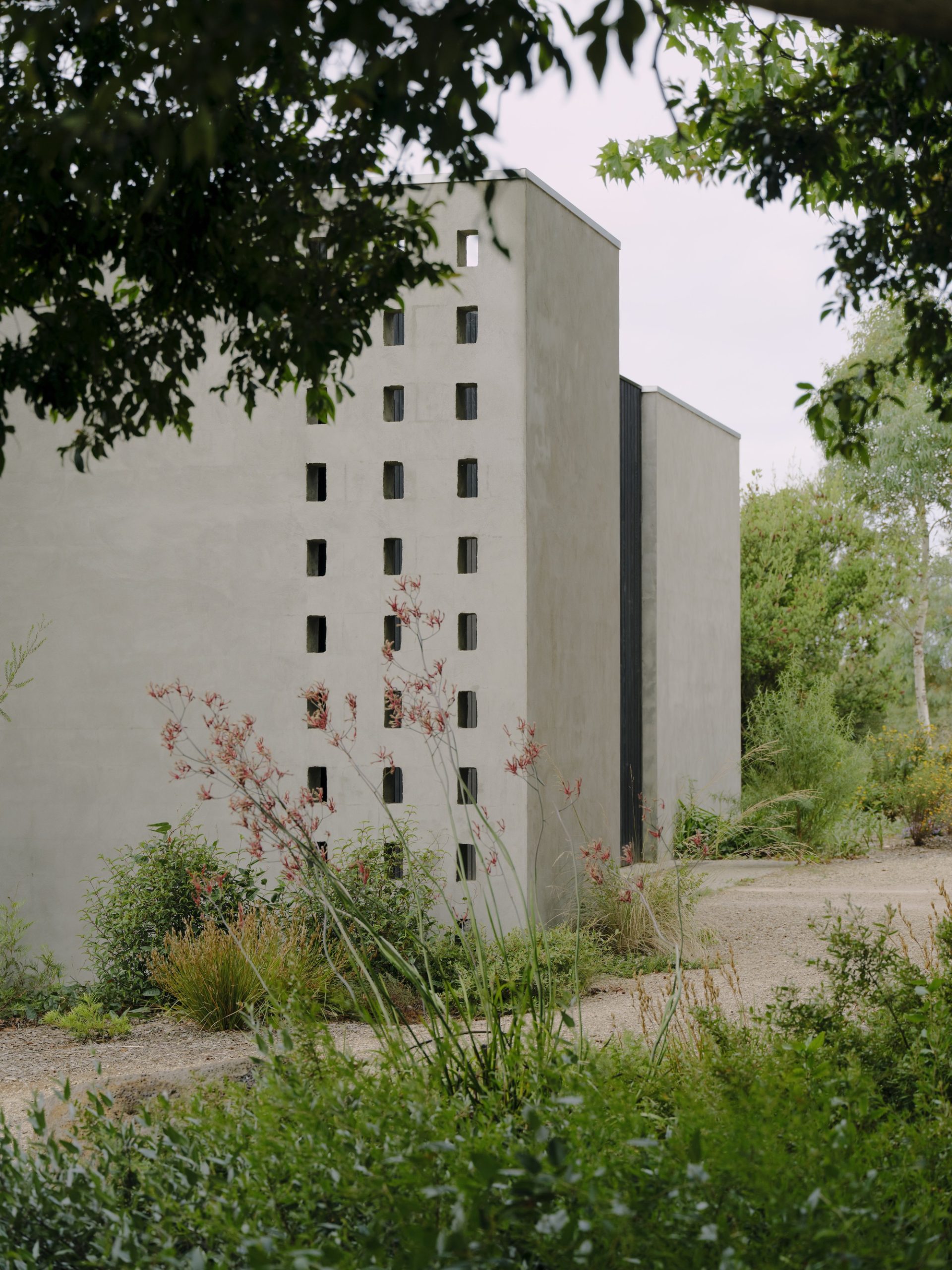 No.41 House / Tristan Burfield